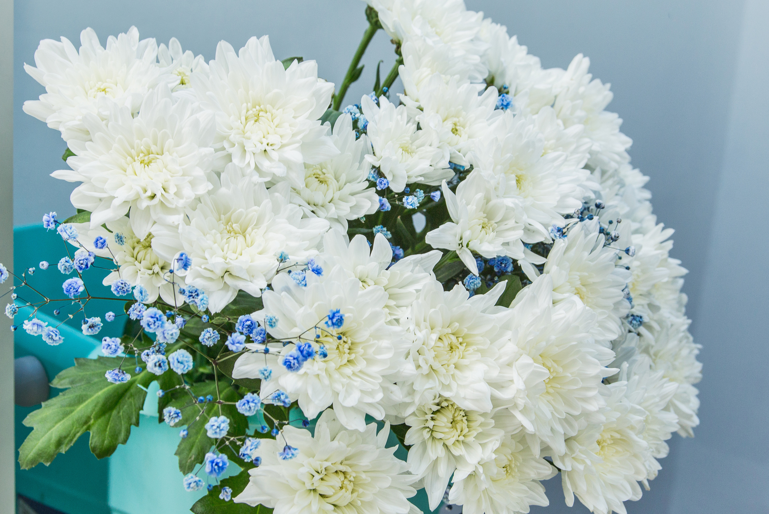 Открытие магазина — Твоя полка. Предметный и семейный фотограф в Санкт-Петербурге Катерина Стеклова