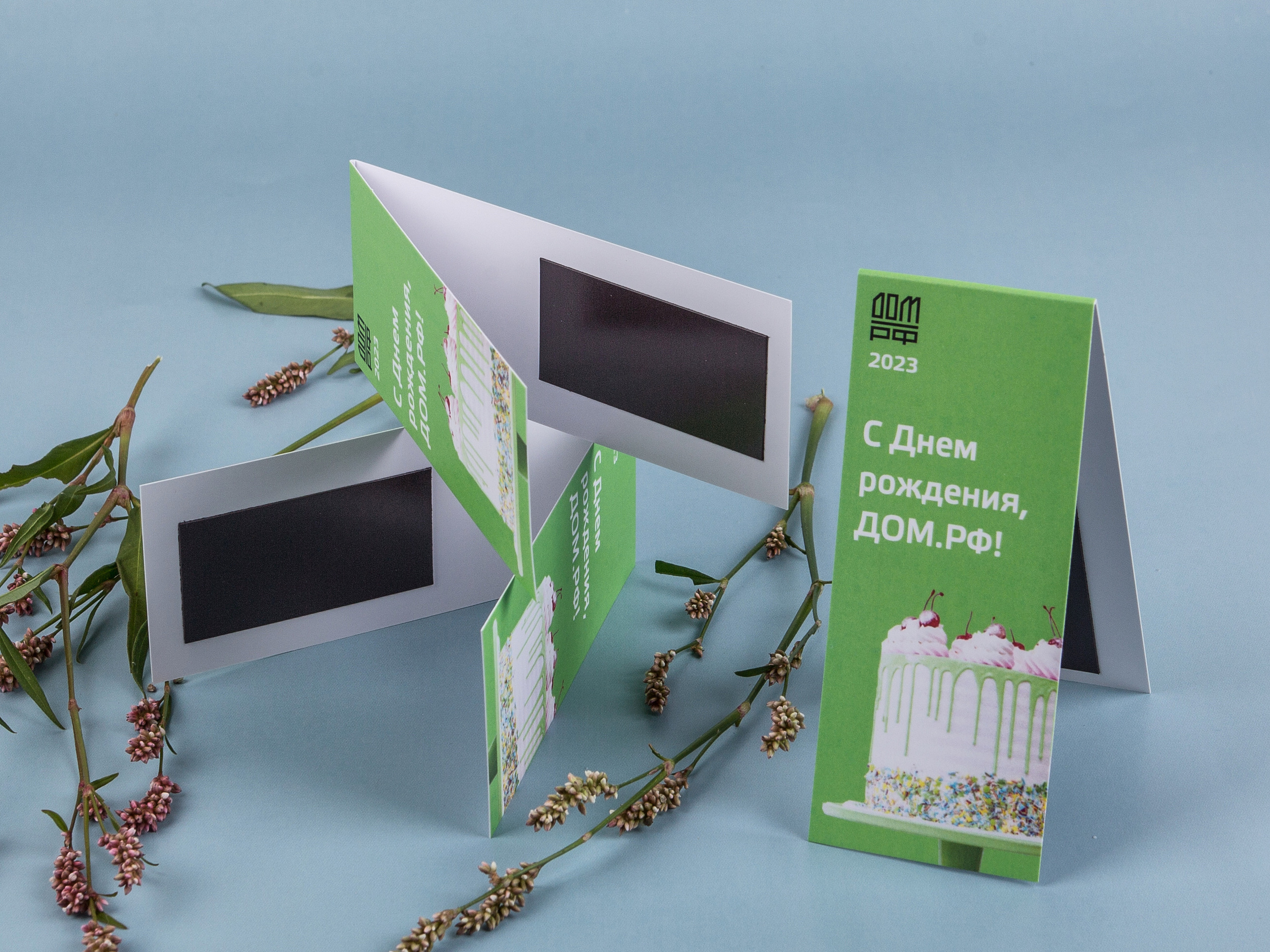 Типография Алес. Предметный и семейный фотограф в Санкт-Петербурге Катерина Стеклова