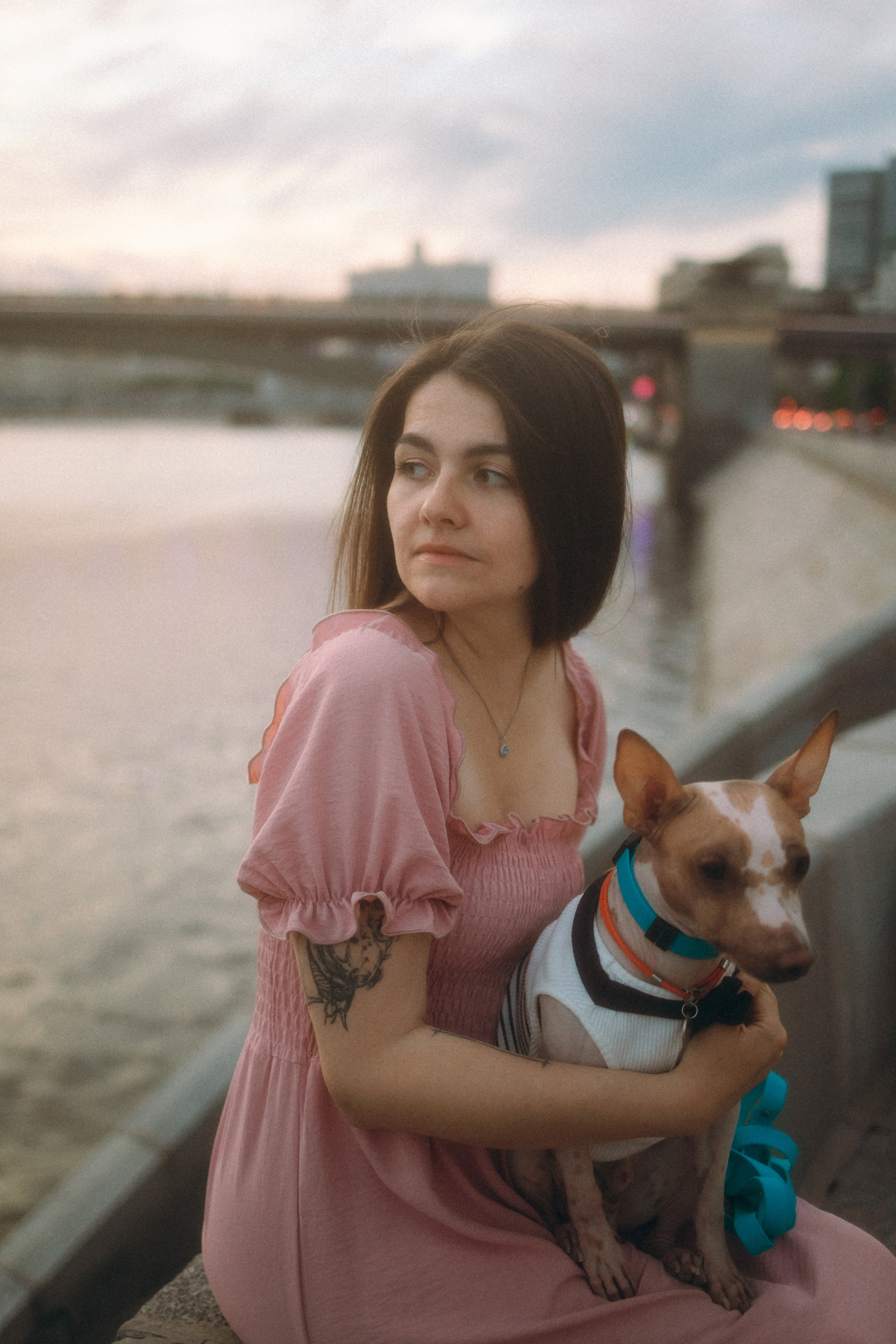 Глаша, Айрон, Ксюша и Оля. Фотограф анималист Анастасия Пикей