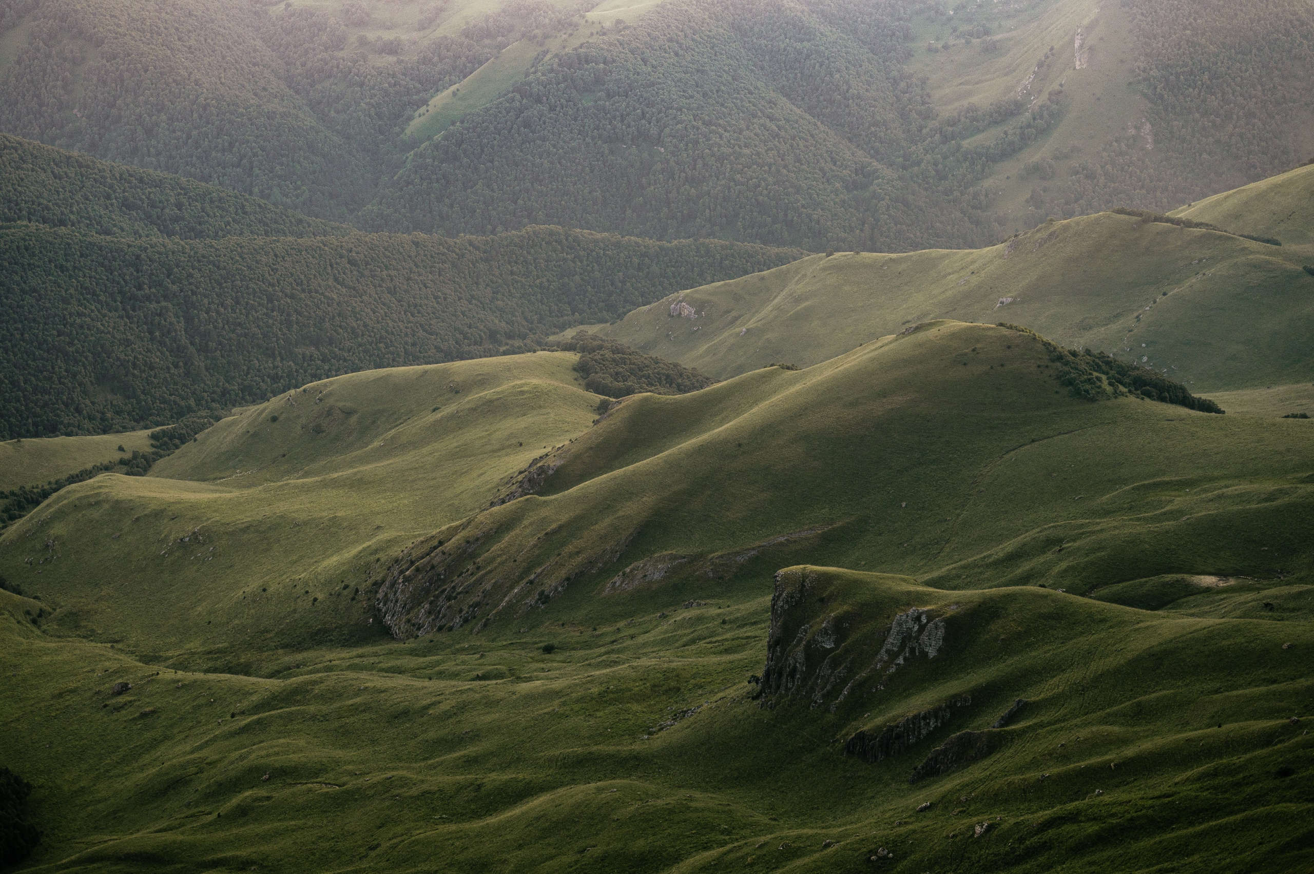 Владимир и Анна. Свадебный фотограф Ростов-на- Дону, Краснодар, Москва