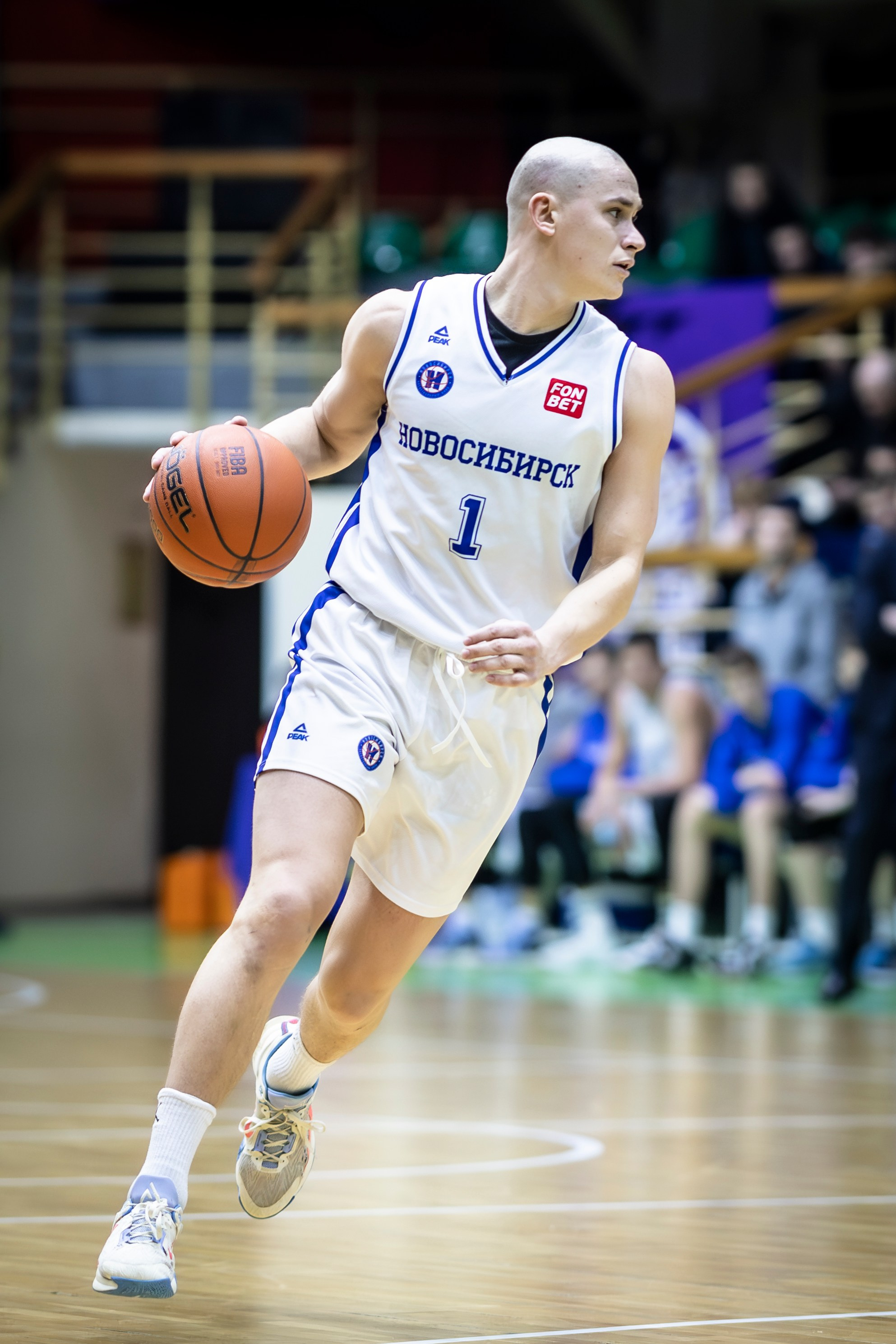 БК Новосибирск. Bertran Ordo