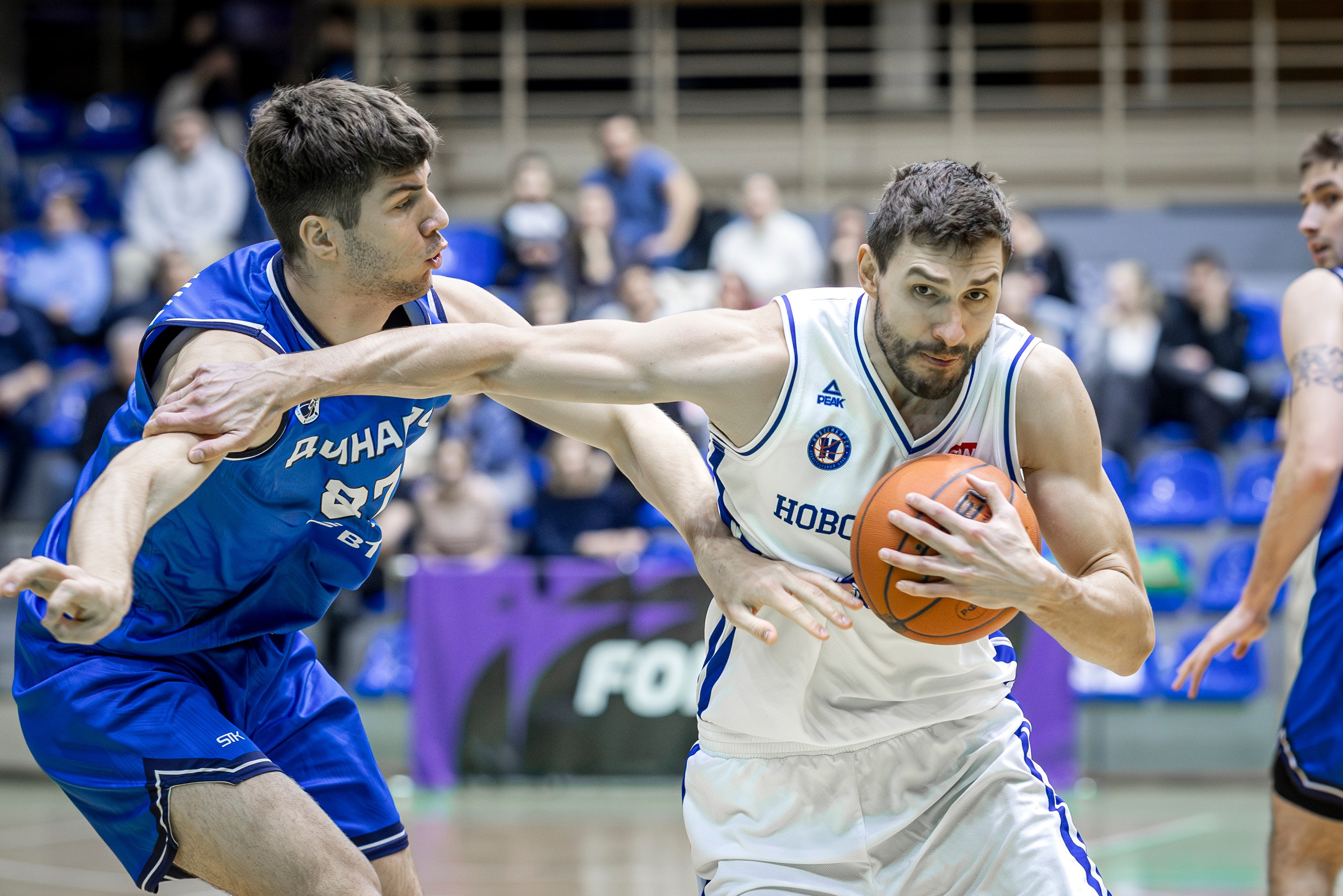 БК Новосибирск. Bertran Ordo