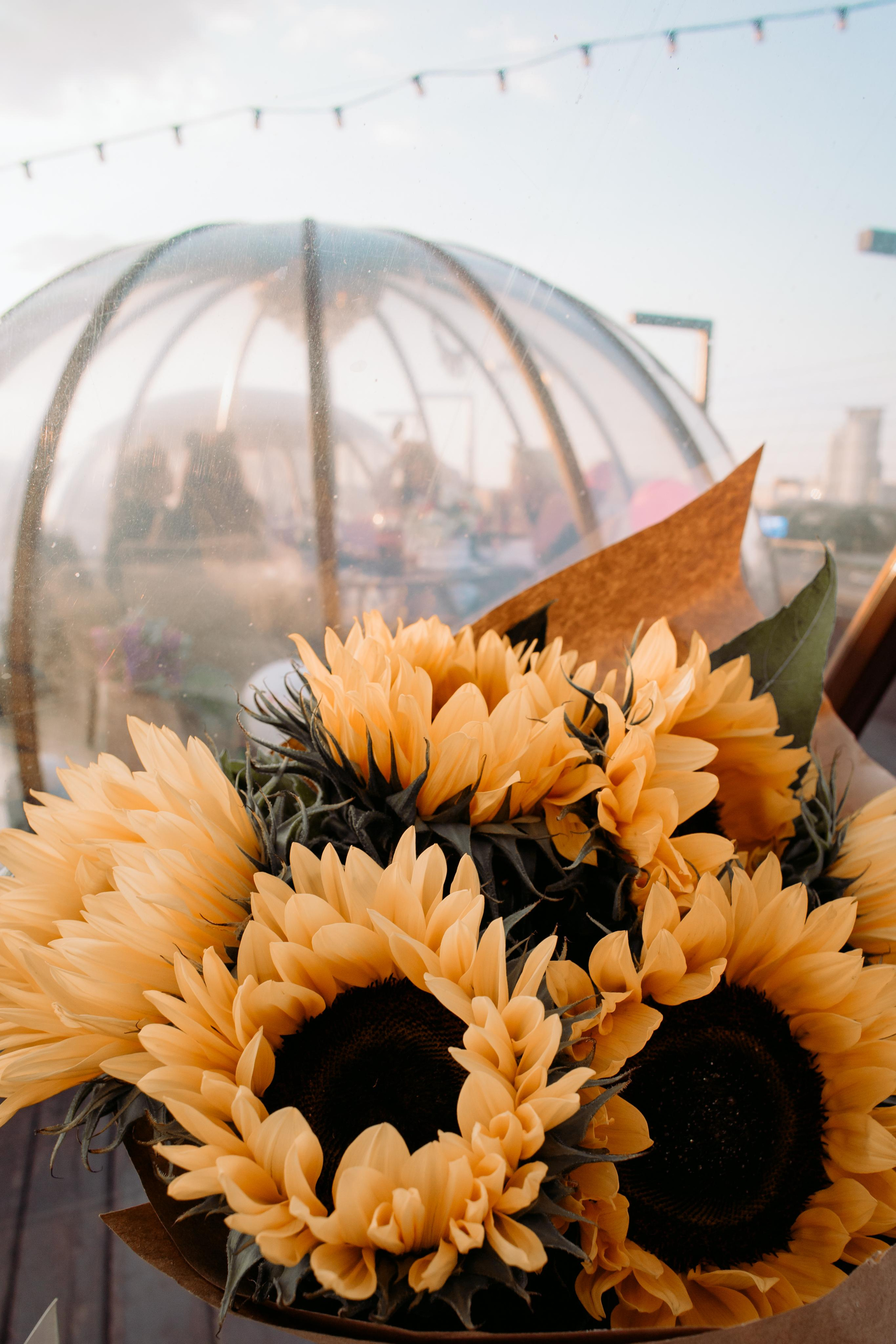 День рождения на крыше, фотосессия на празднике. Фотограф Валерия Горбунова Подольск Бутово Видное Щербинка