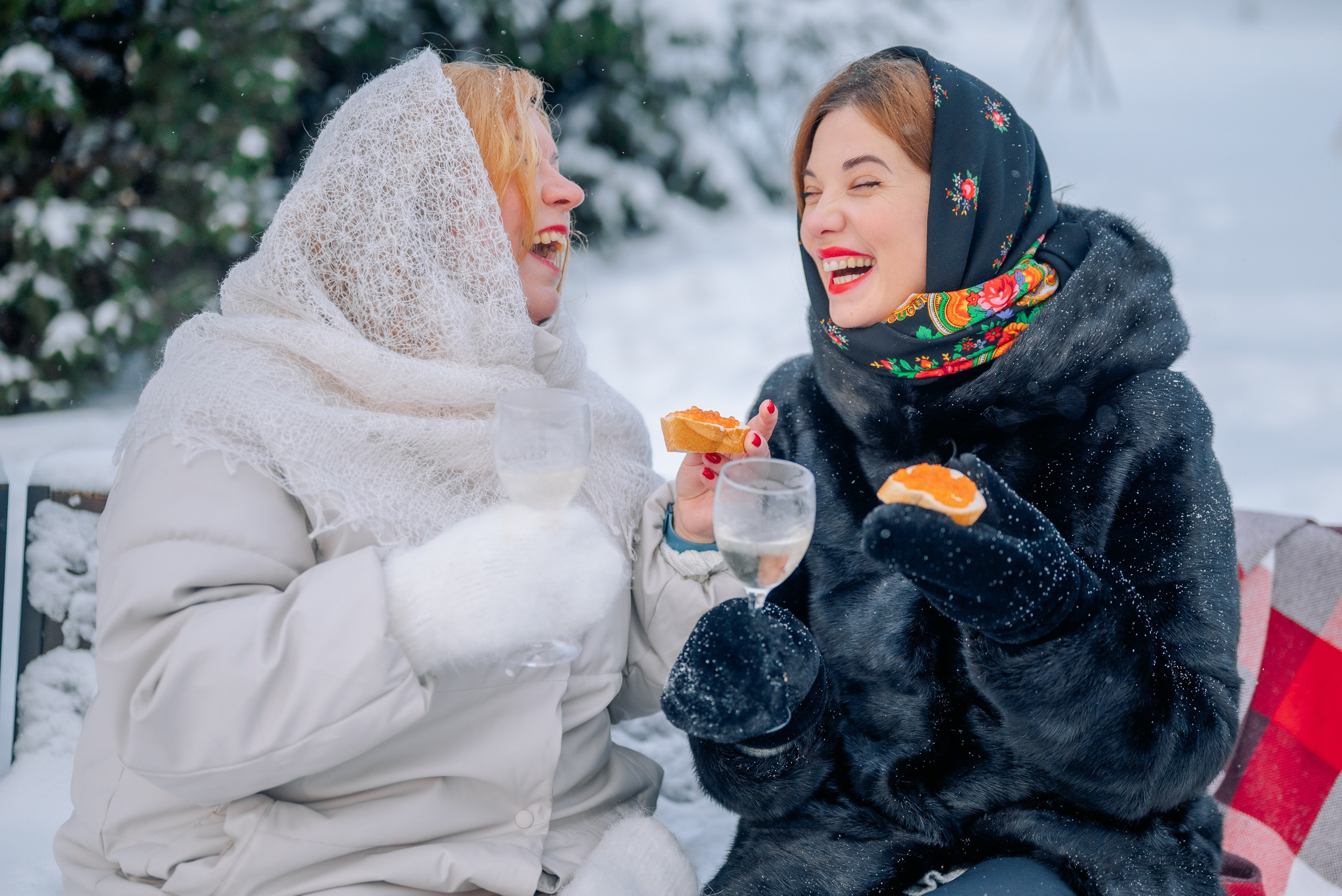 Звенит январская вьюга. Дарья Медведева