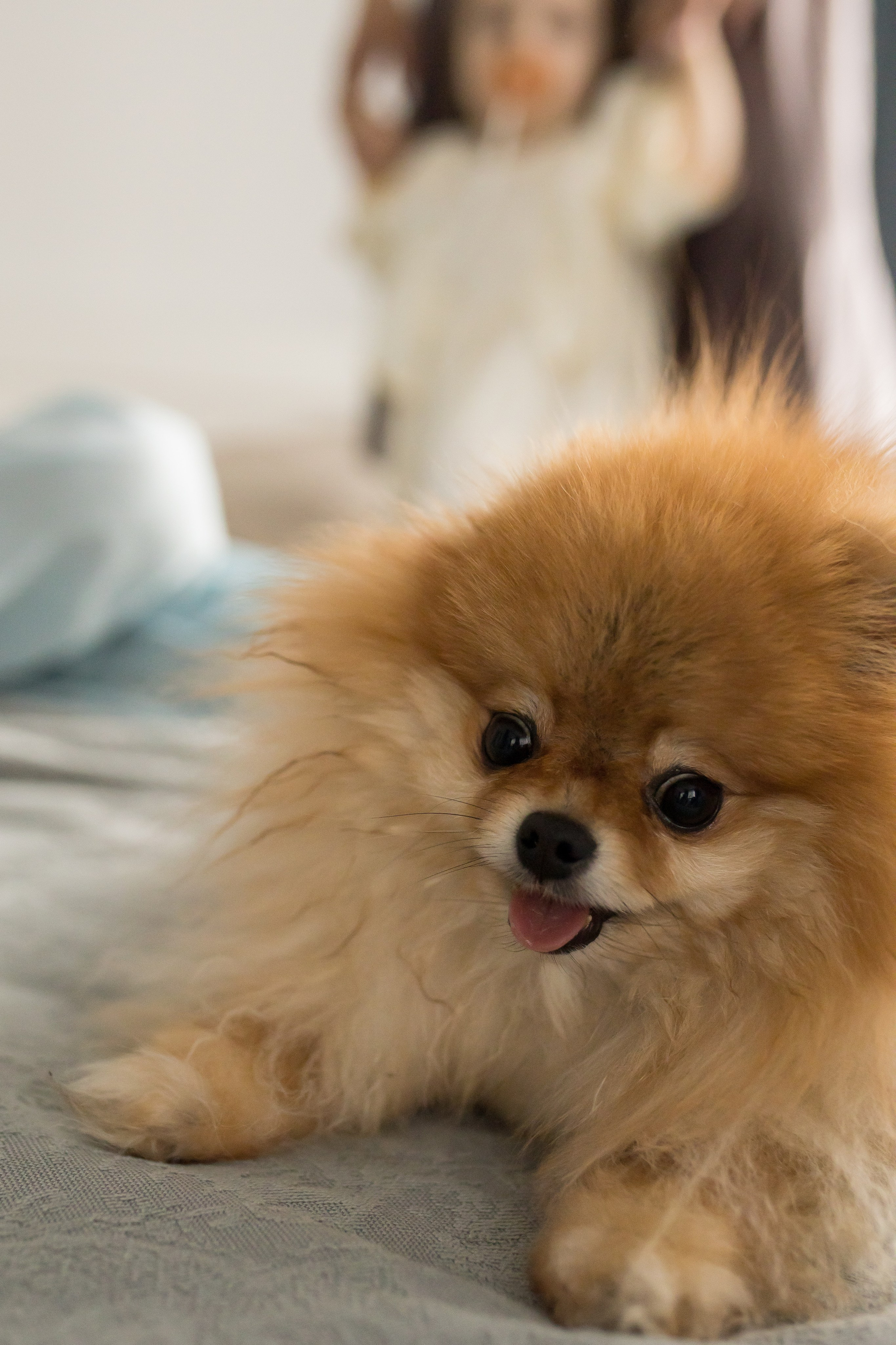 Катя и дочки. Фотограф Москва Лара Чайка