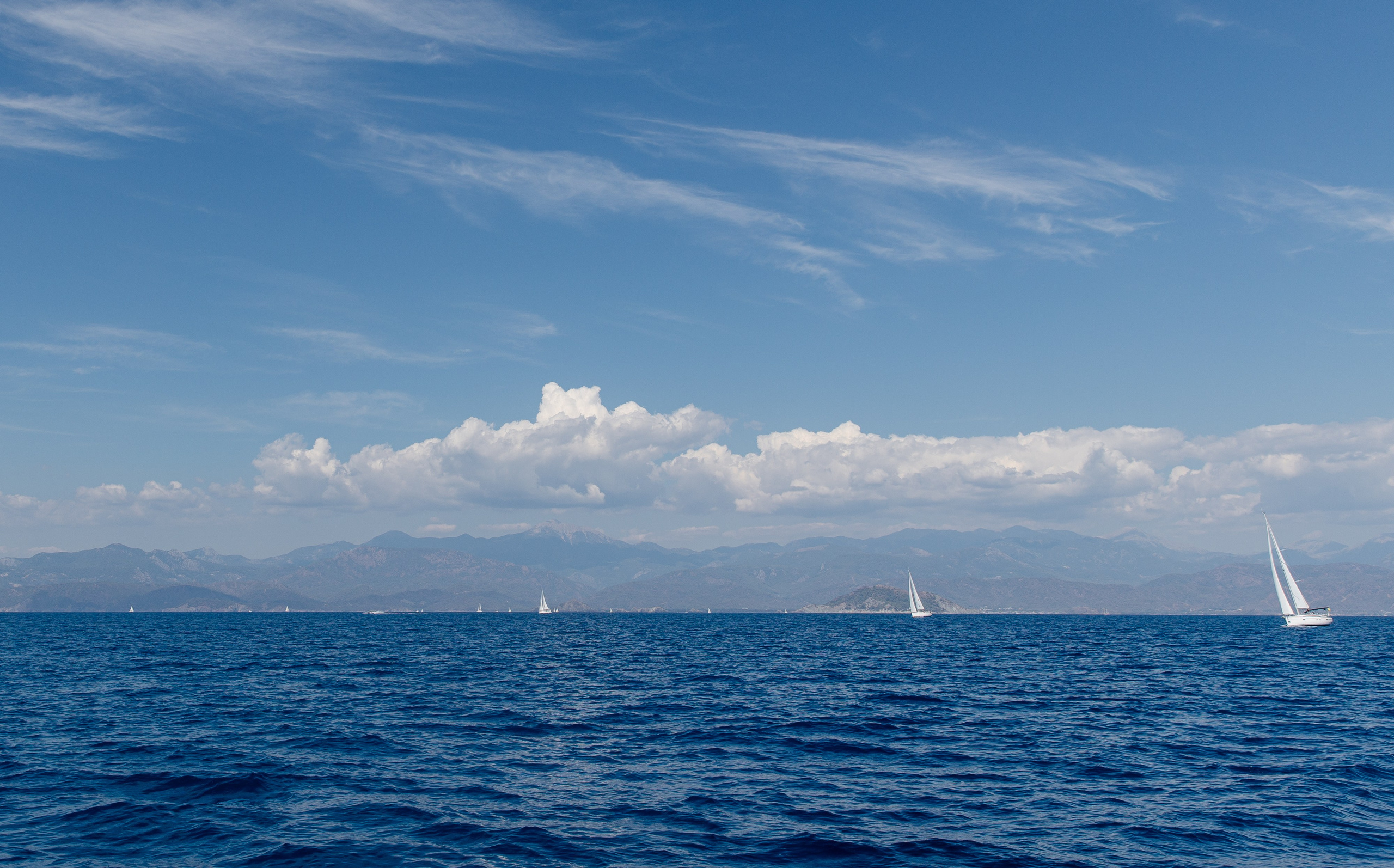 Фармрегата. Свадебный фотограф Москва Анна Шилова