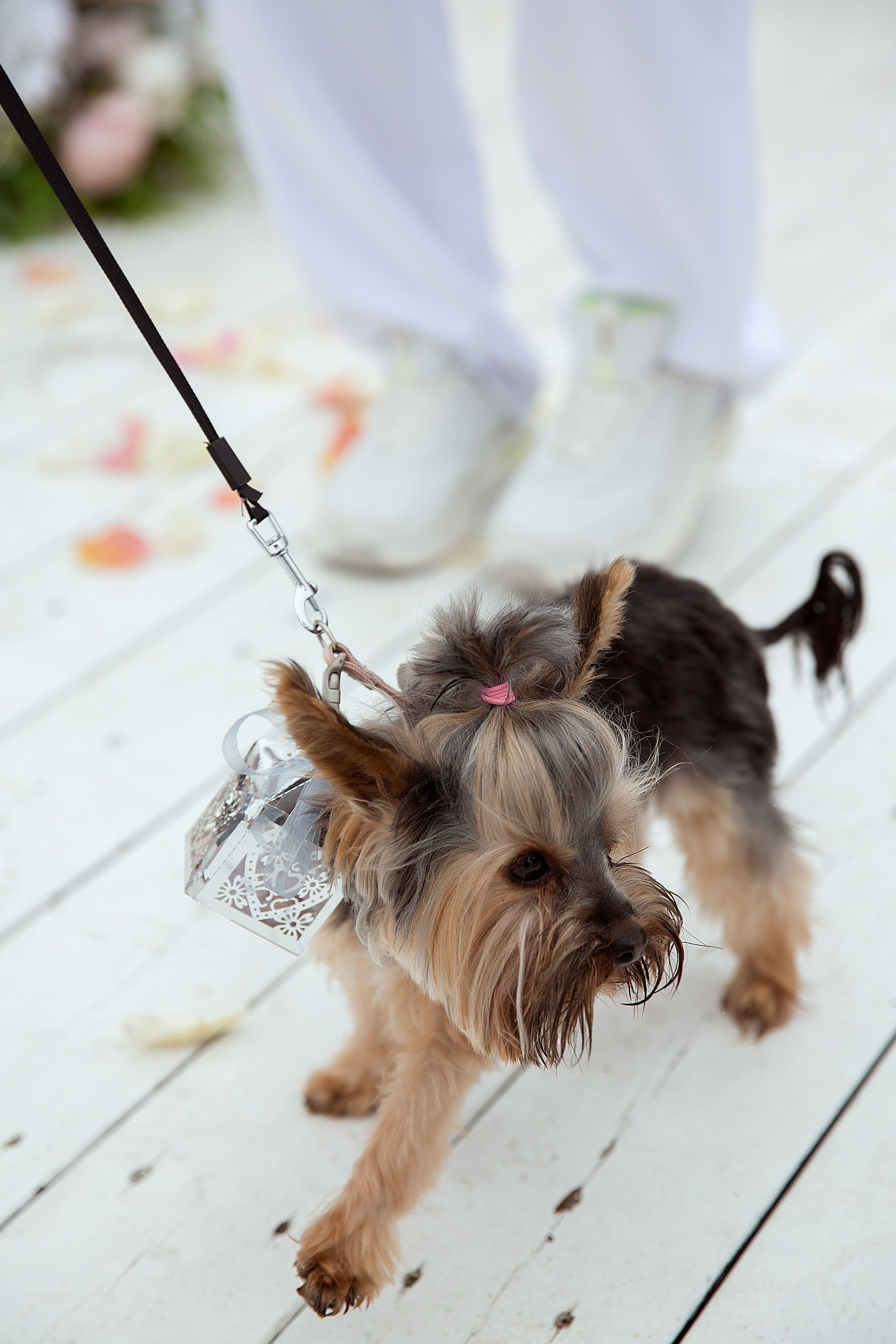 Дмитрий и Катарина. Людмила Далидович топовый семейный фотограф Находка/Владивосток