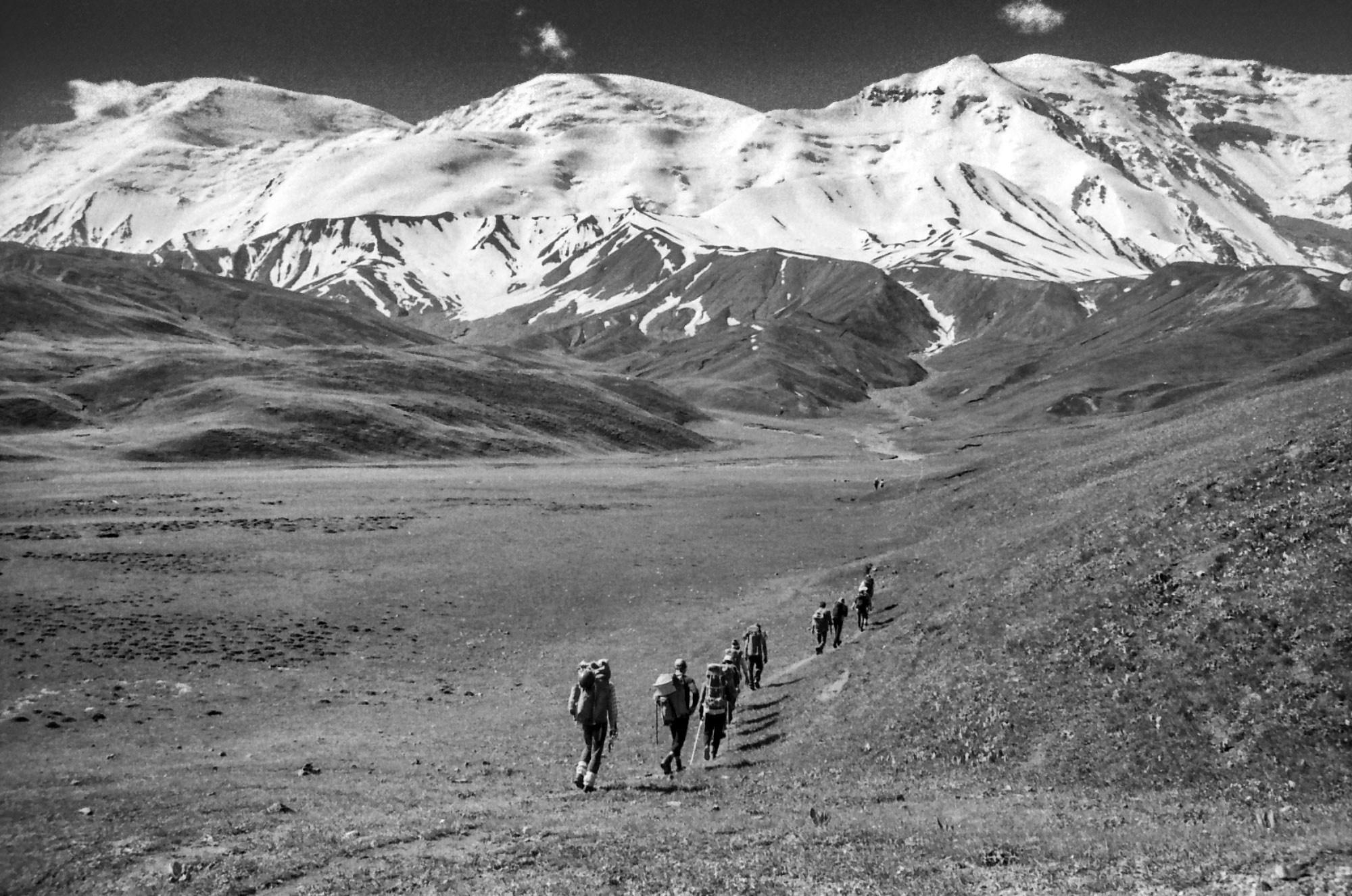 Свадебный фотограф в Геленджике