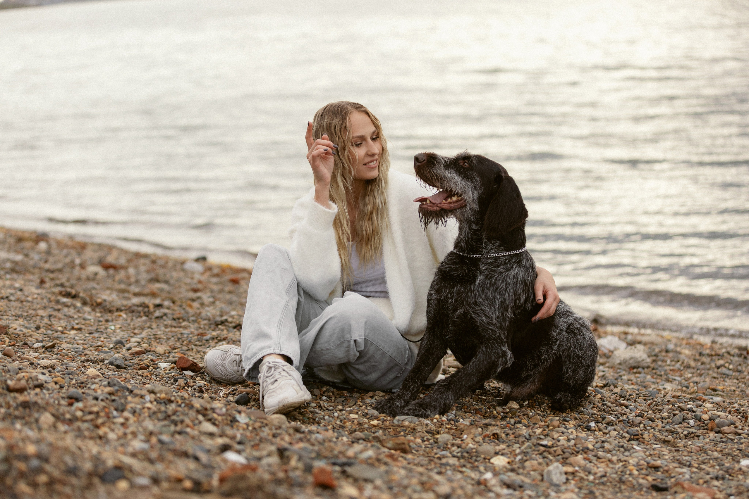 Фотосессии с собаками (для владельцев). Конный фотограф Валынкина Лера