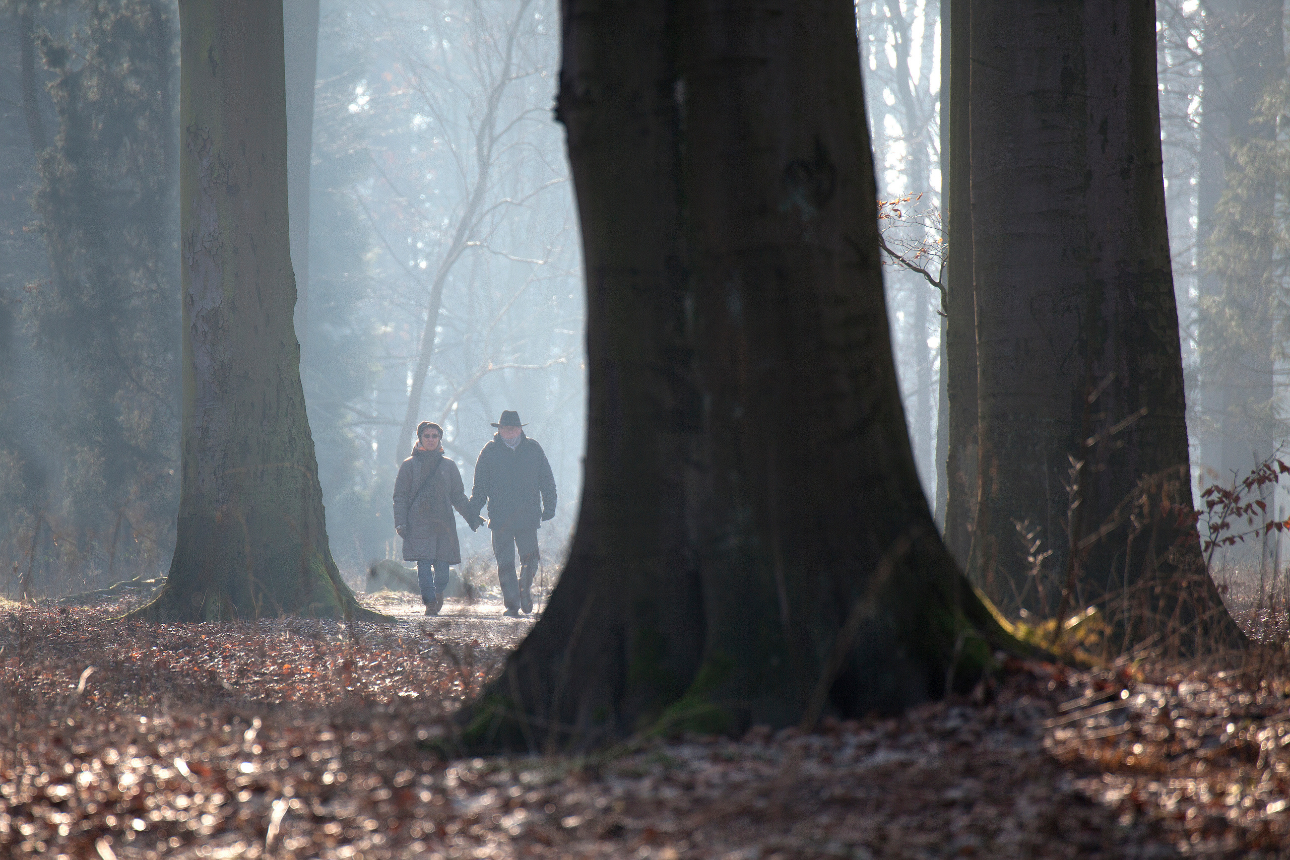 landscape, Landschaft, пейзаж, Германия, Germany, Deutschland, NRW, photo, фото