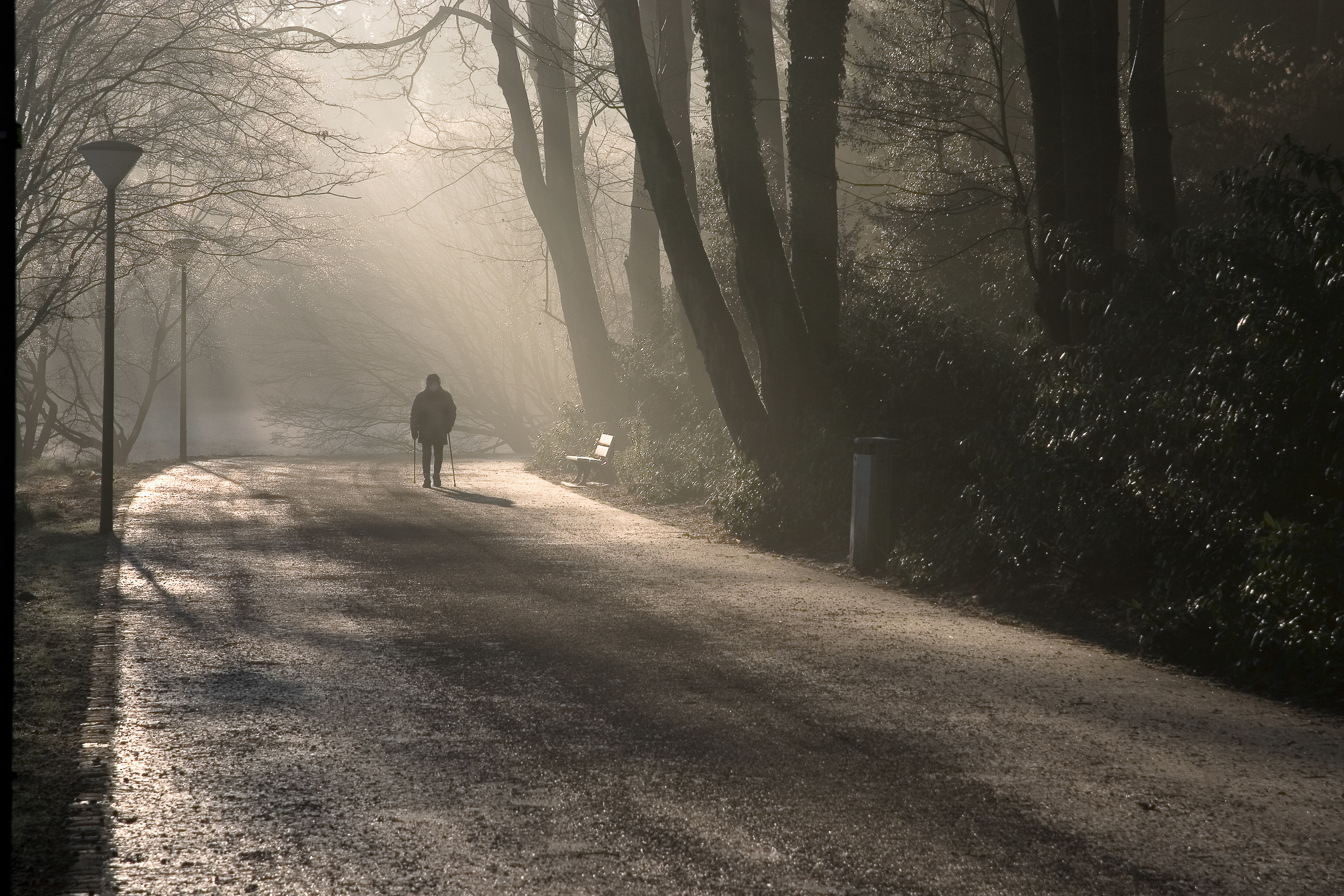 Landscapes. Atmospheric landscapes, horses, butterfies. Alexander Kozhukhov