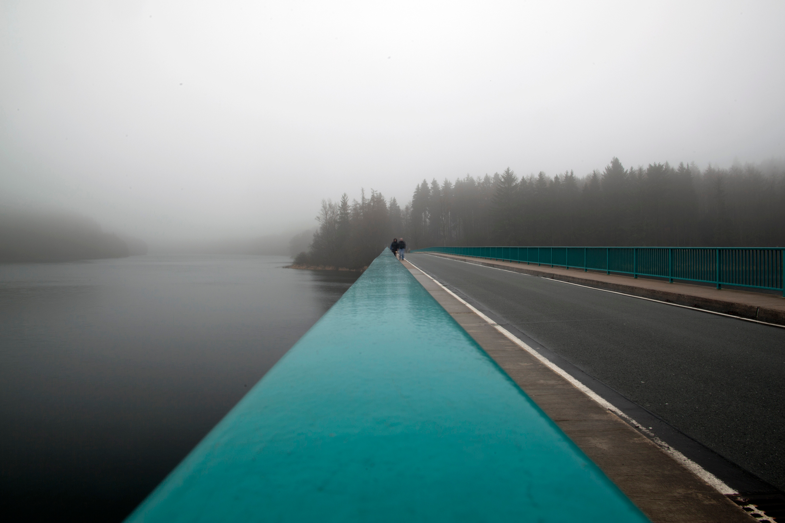 Landscapes. Atmospheric landscapes, horses, butterfies. Alexander Kozhukhov