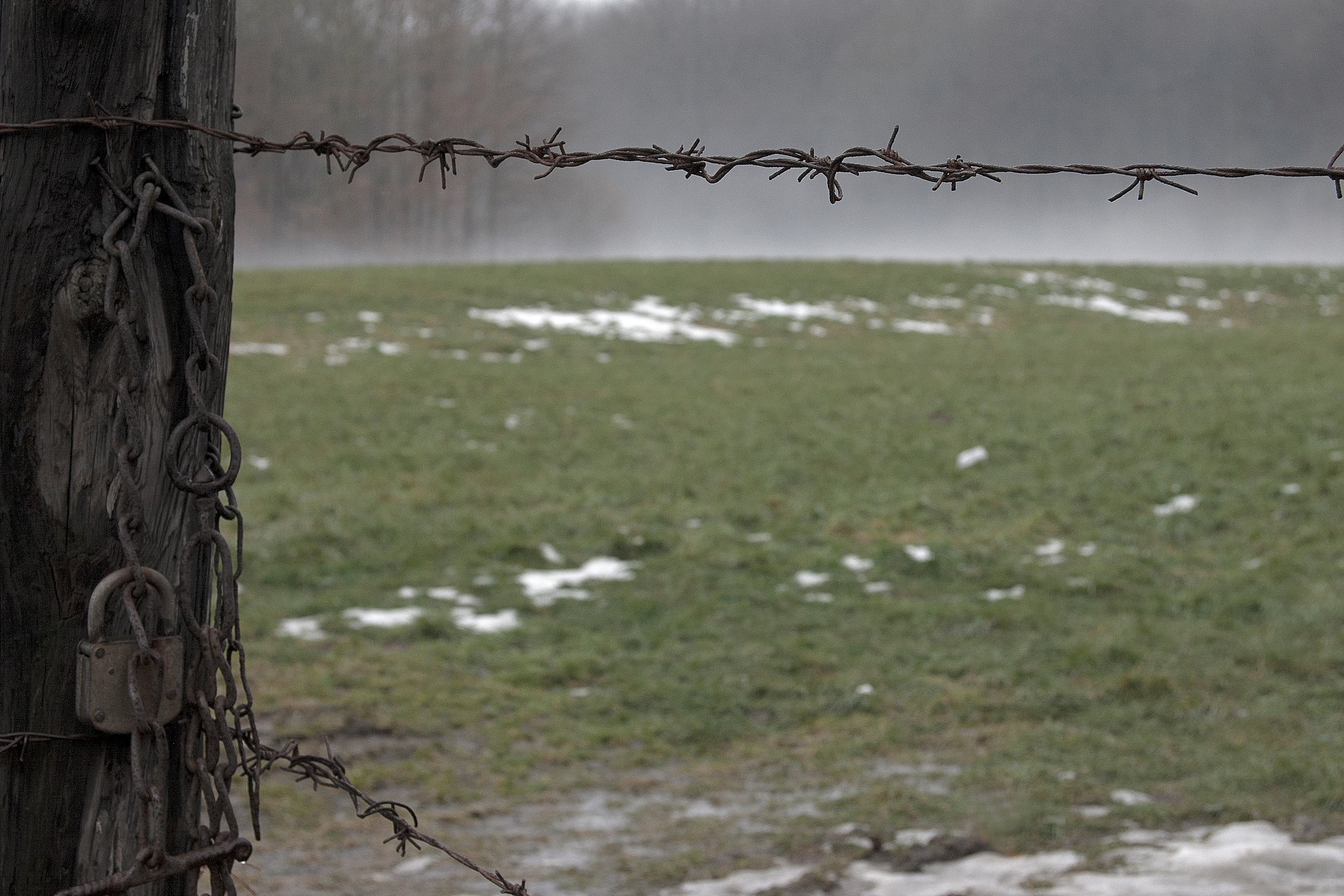 Landscapes. Atmospheric landscapes, horses, butterfies. Alexander Kozhukhov