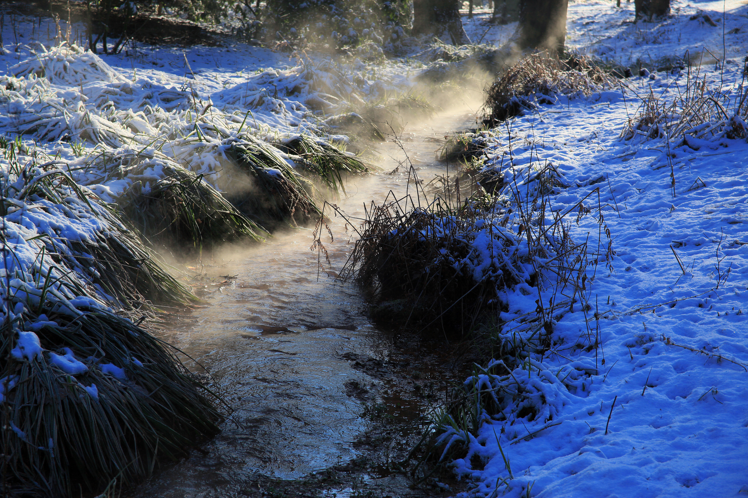 Landscapes. Atmospheric landscapes, horses, butterfies. Alexander Kozhukhov