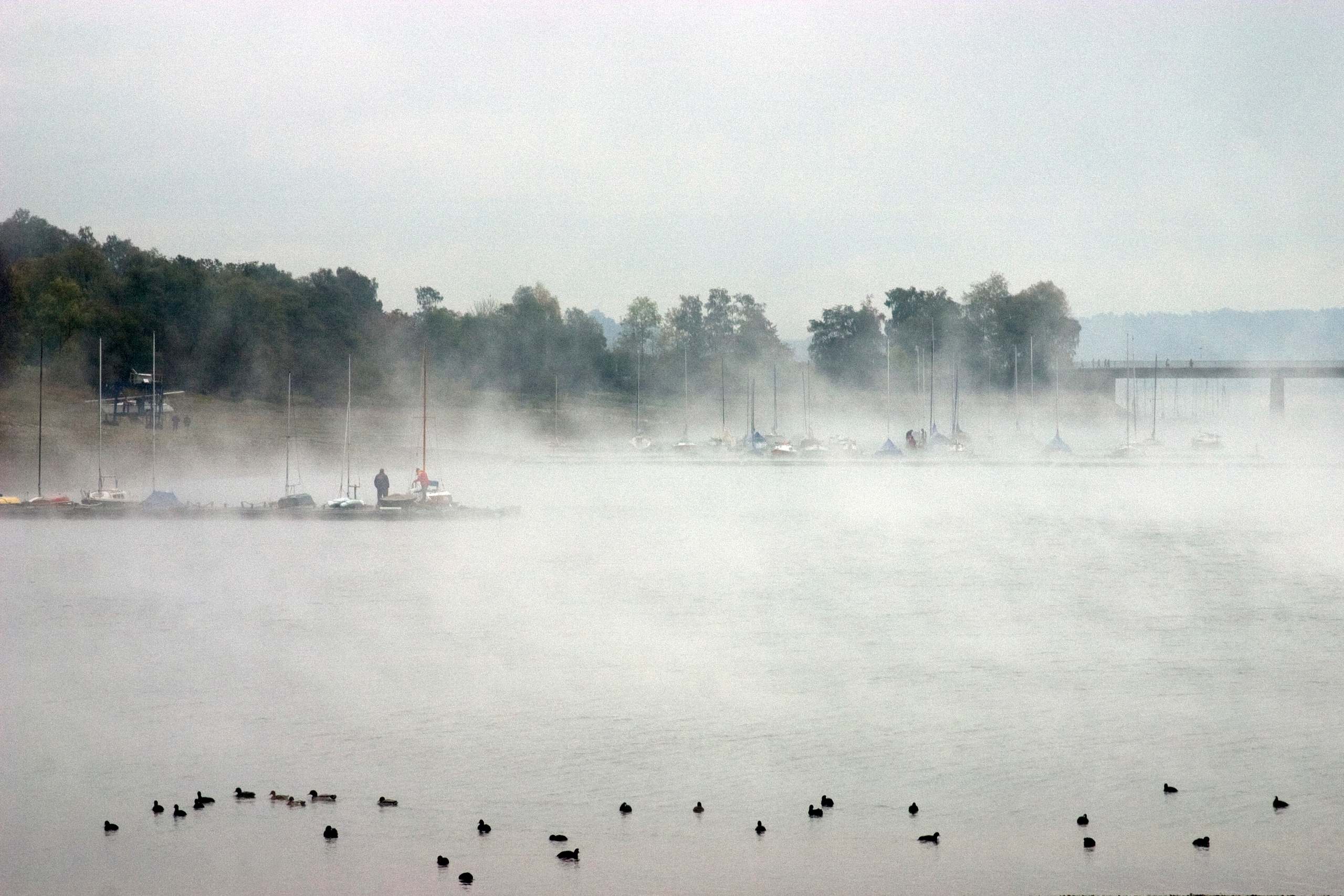 Landscapes. Atmospheric landscapes, horses, butterfies. Alexander Kozhukhov