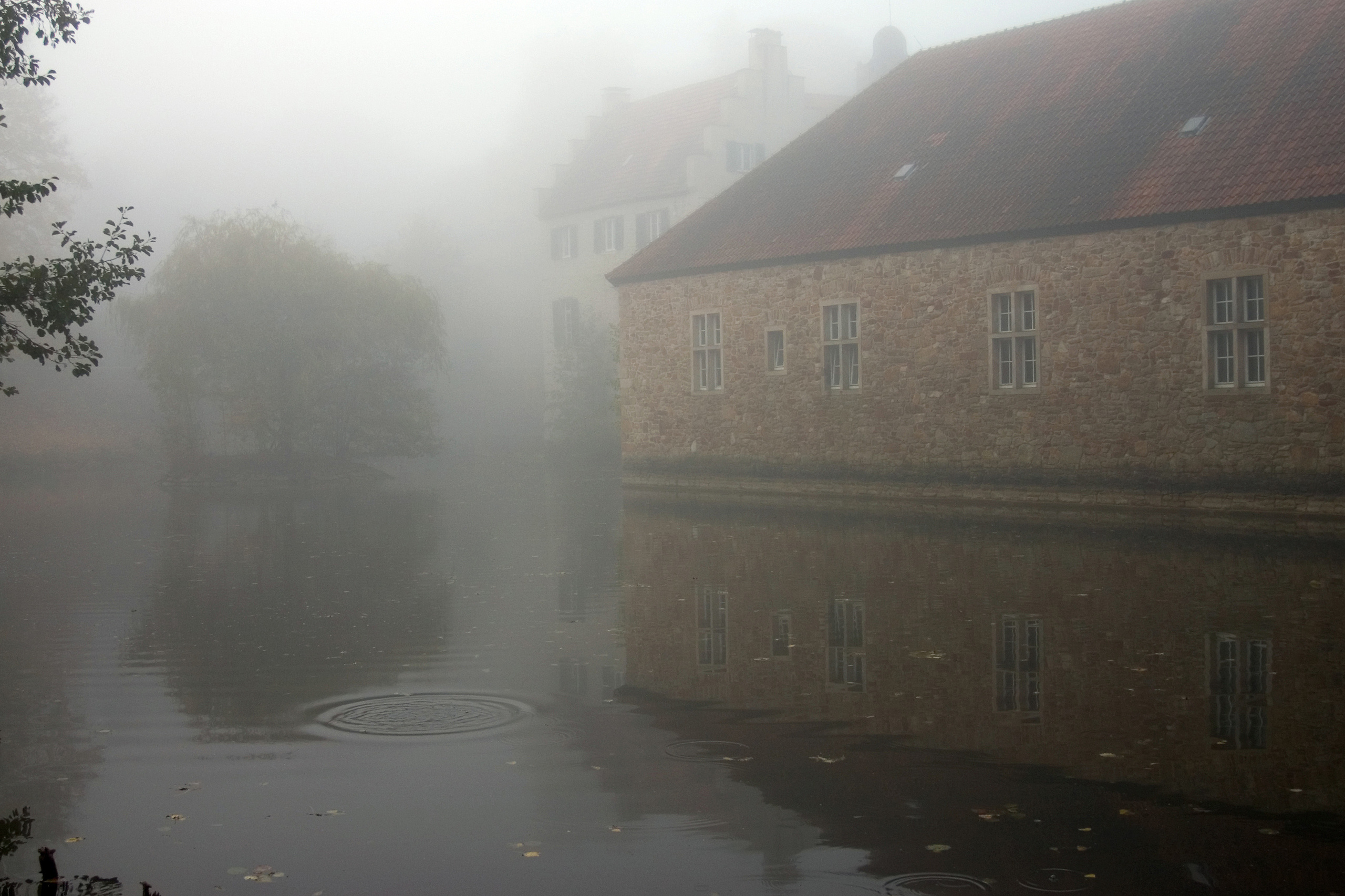 Landscapes. Atmospheric landscapes, horses, butterfies. Alexander Kozhukhov