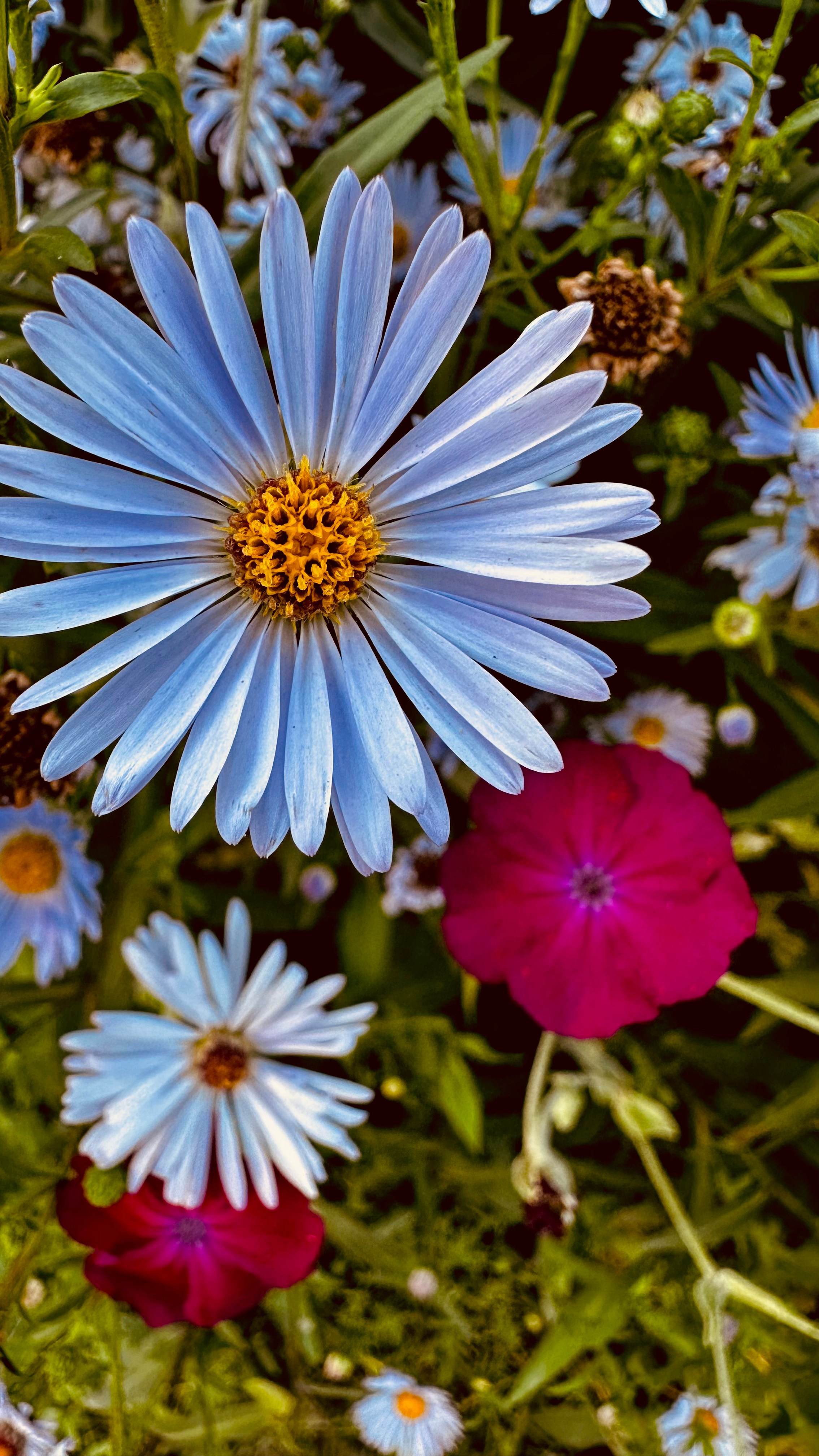 Контент. Фотограф и Контент-креатор в Тамбове Виктория Гуру