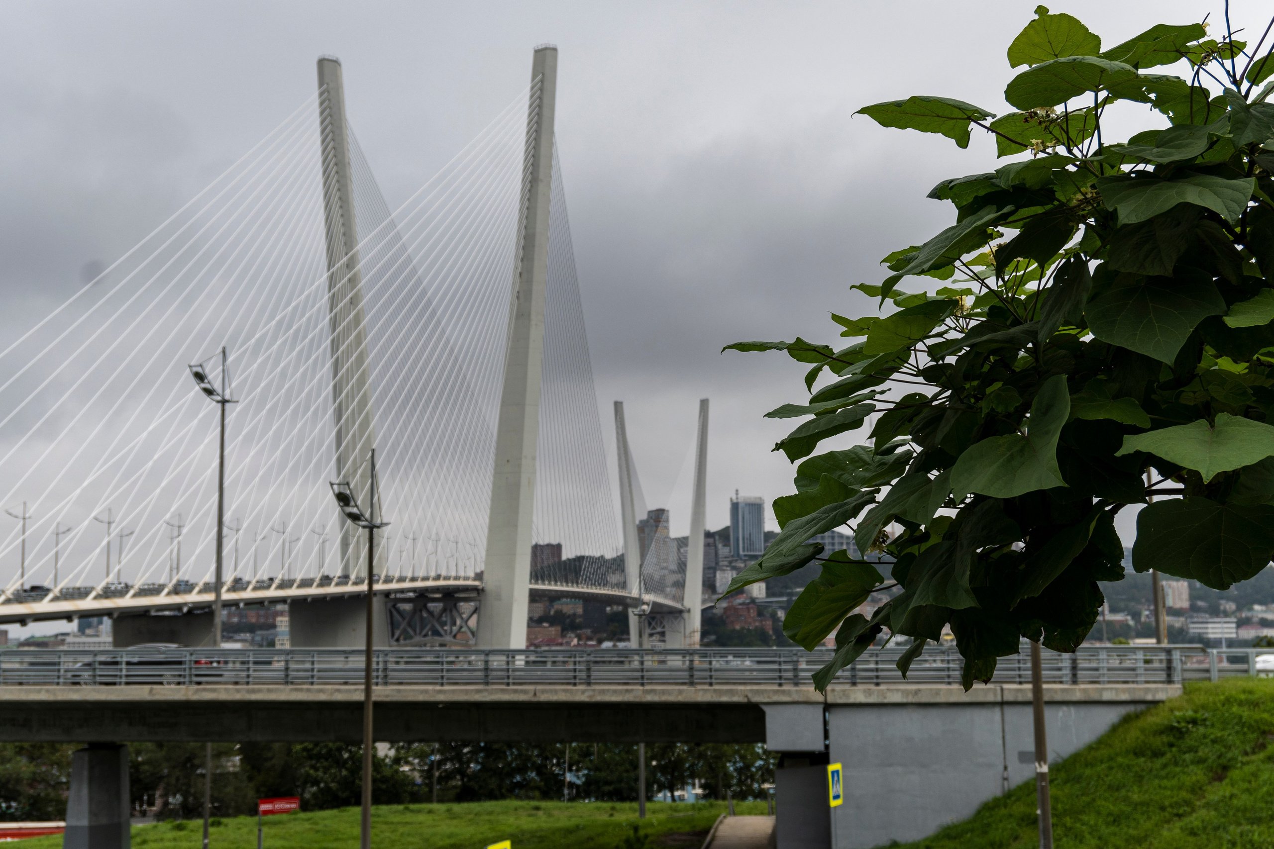 Владивосток. Сентябрь 2023. Фотограф Роман Адлер