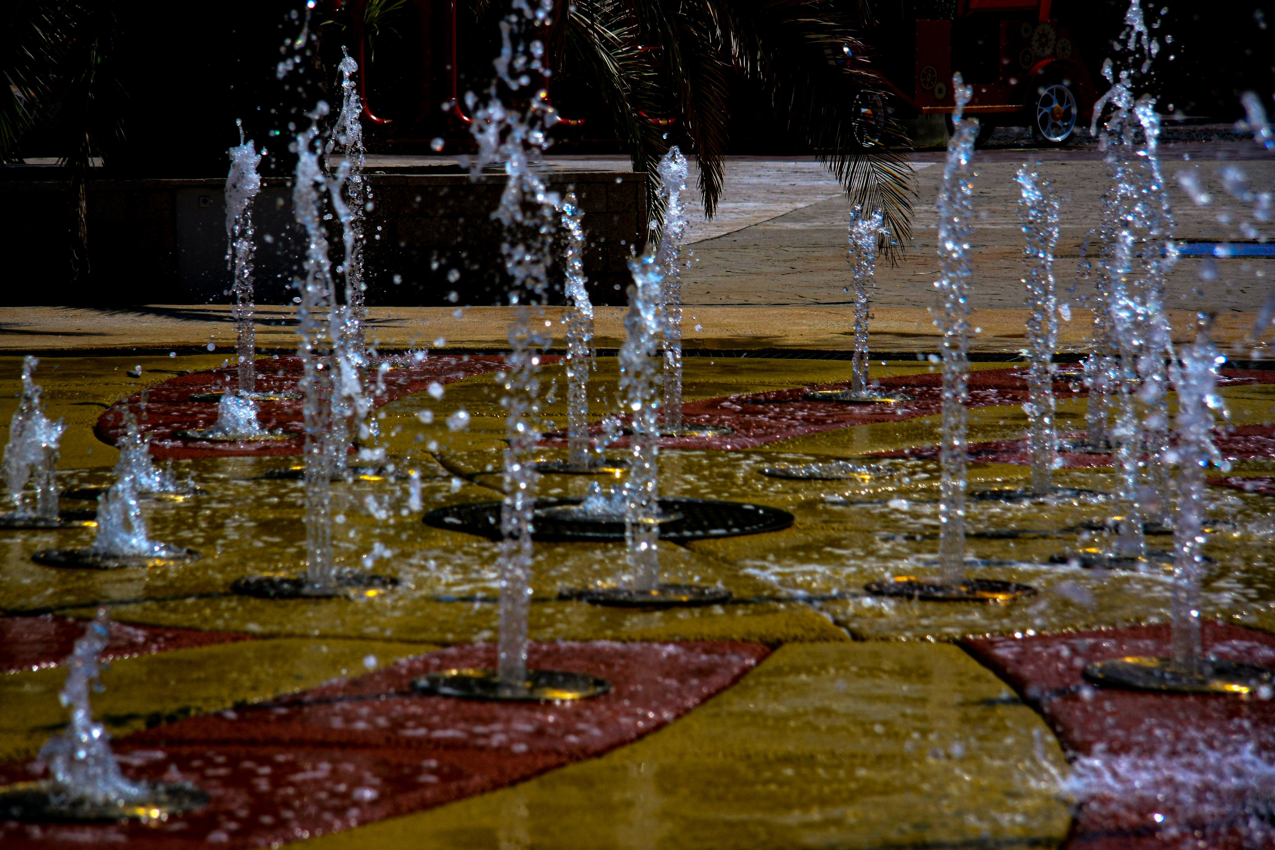 Первые кадры. Сочи — парк. Фотограф Роман Адлер