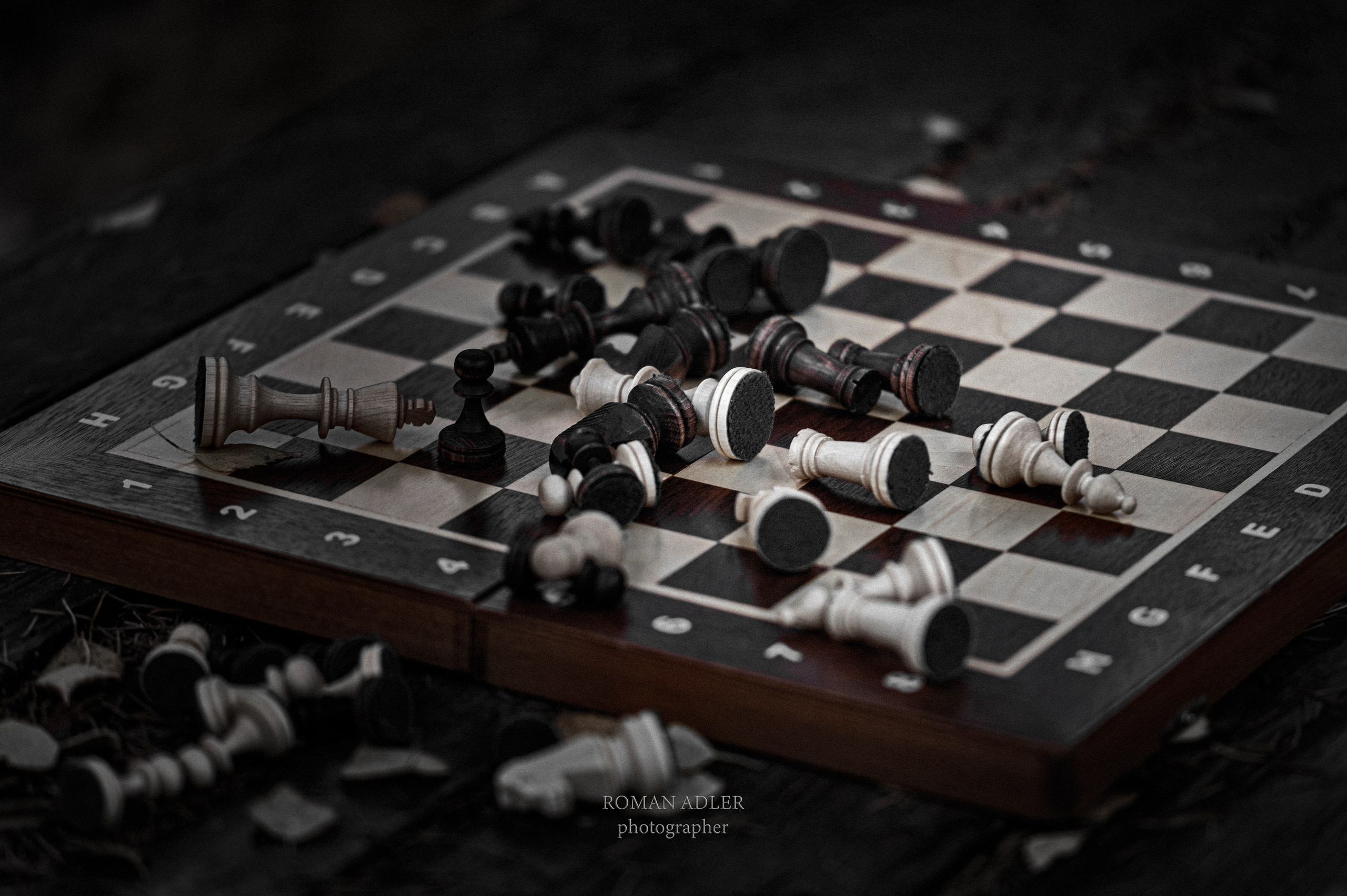 Серия «Последняя партия». Фотограф Роман Адлер