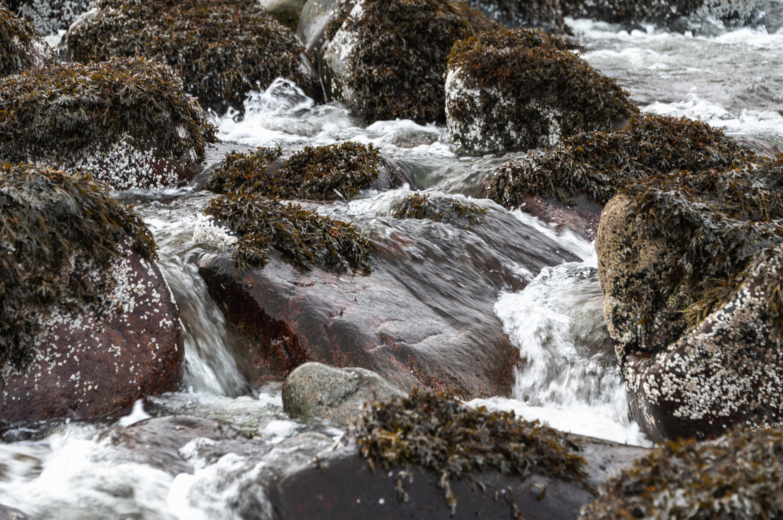 Териберка. Ноябрь 2023. Фотограф Роман Адлер