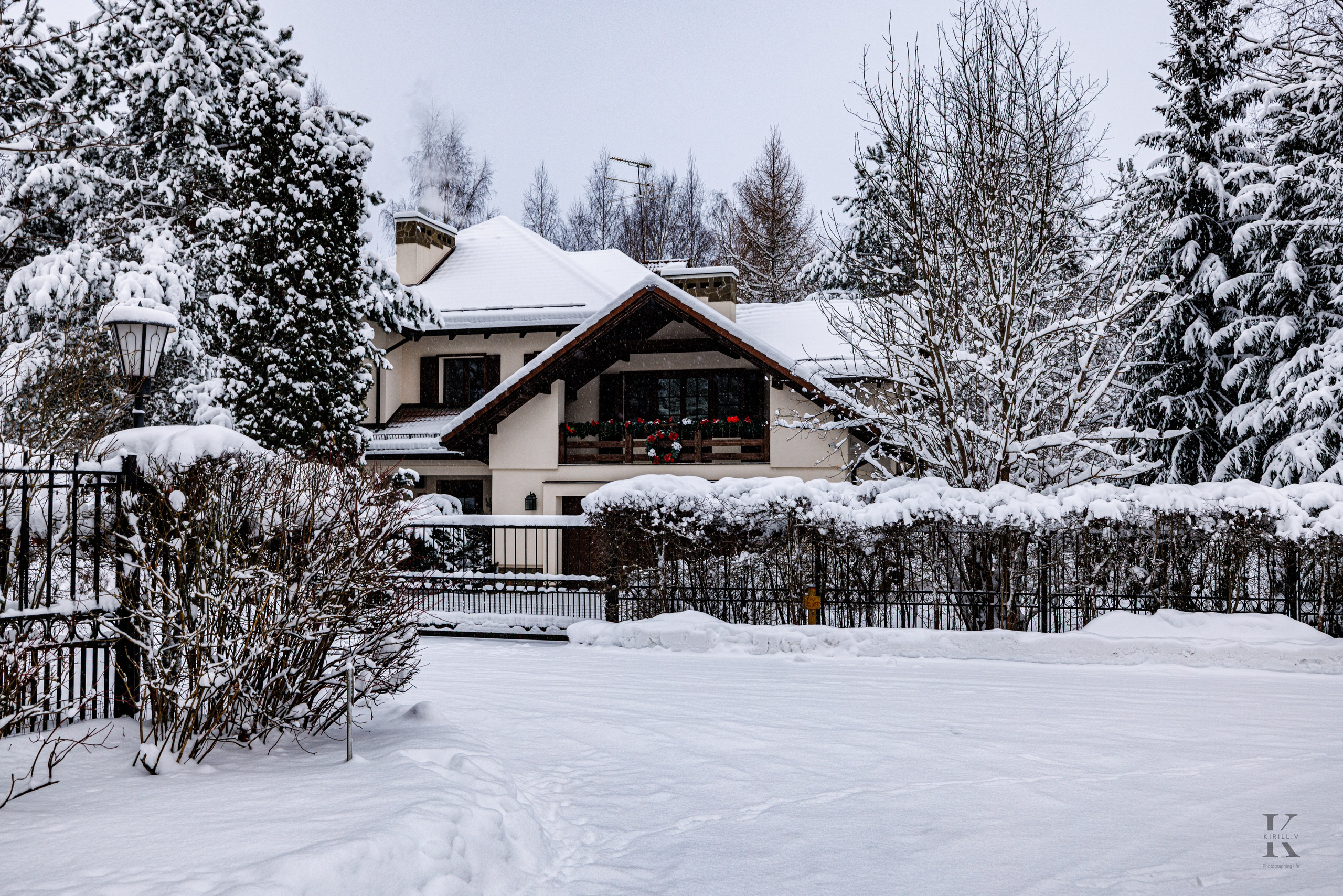 Природа 31 Декабря 2025 года. Клены. Фотографирую жизнь! Московский фотограф волонтер