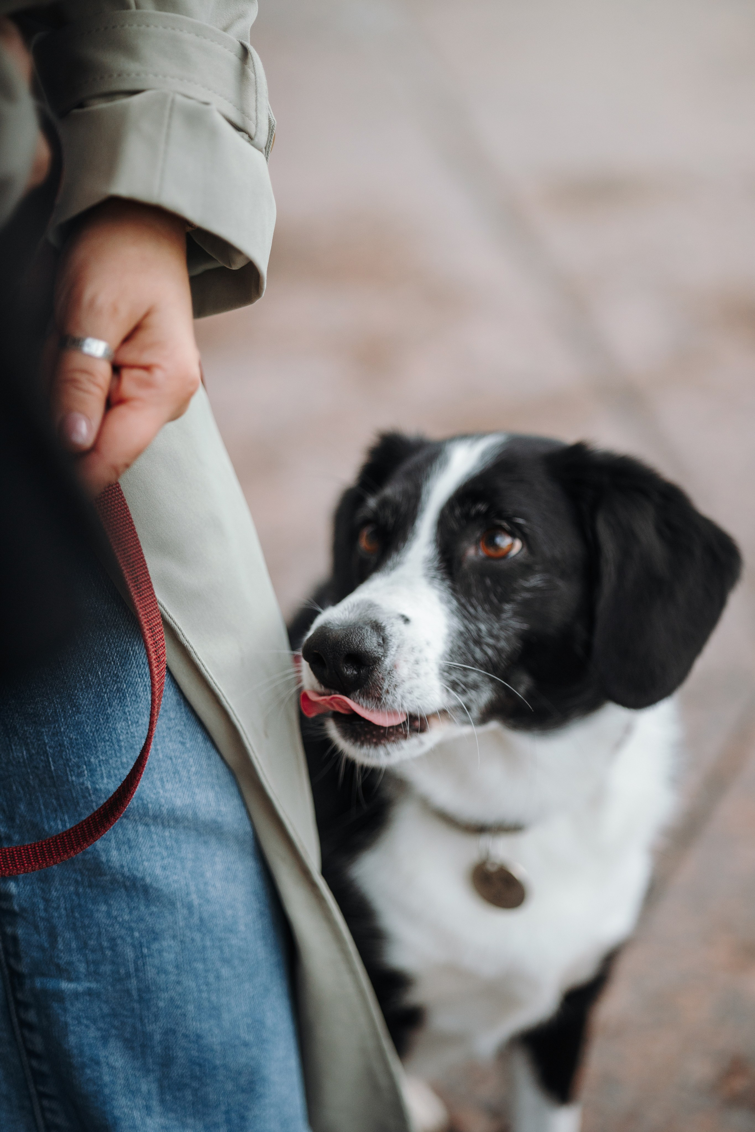 Мишель и ее семья. Фотограф — Анималист | Санкт-Петербург