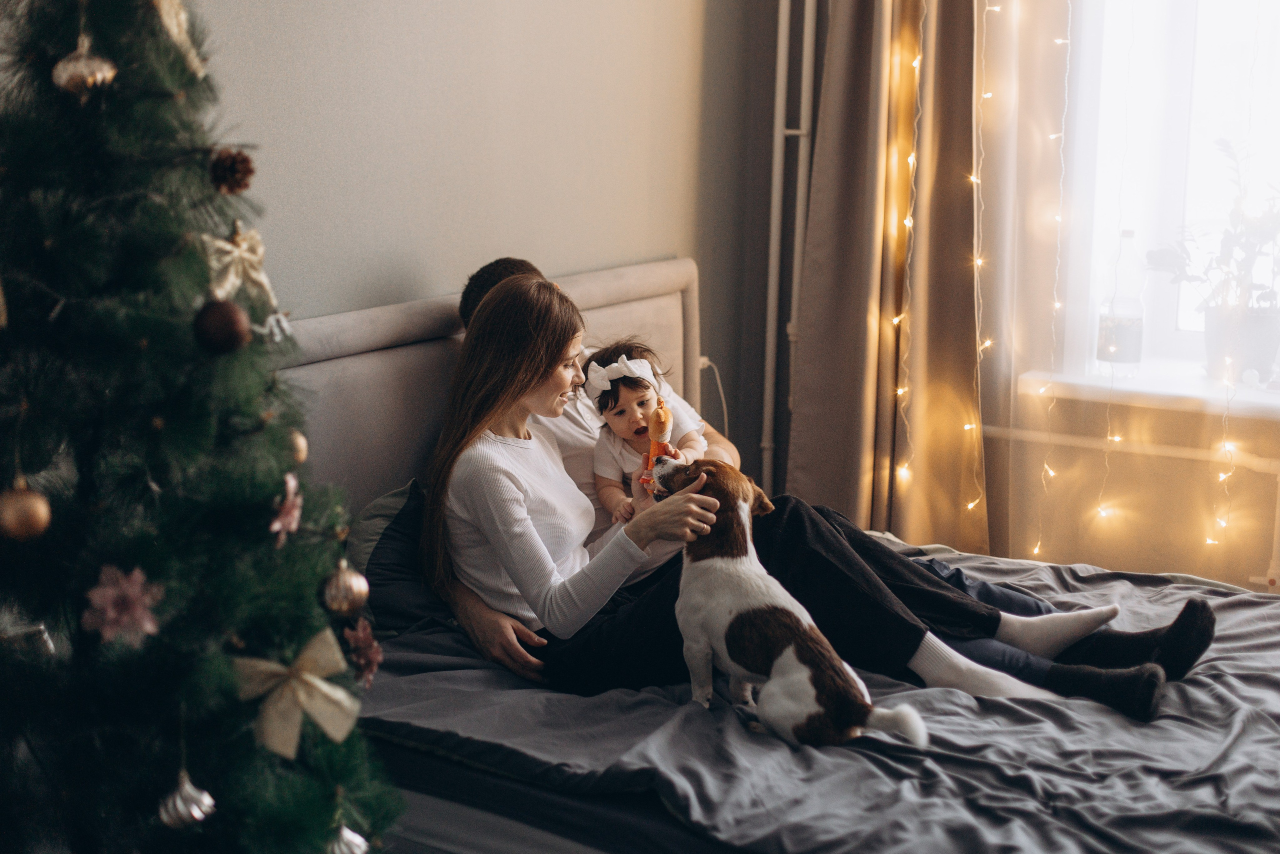 Джой и его семья. Фотограф — Анималист | Санкт-Петербург