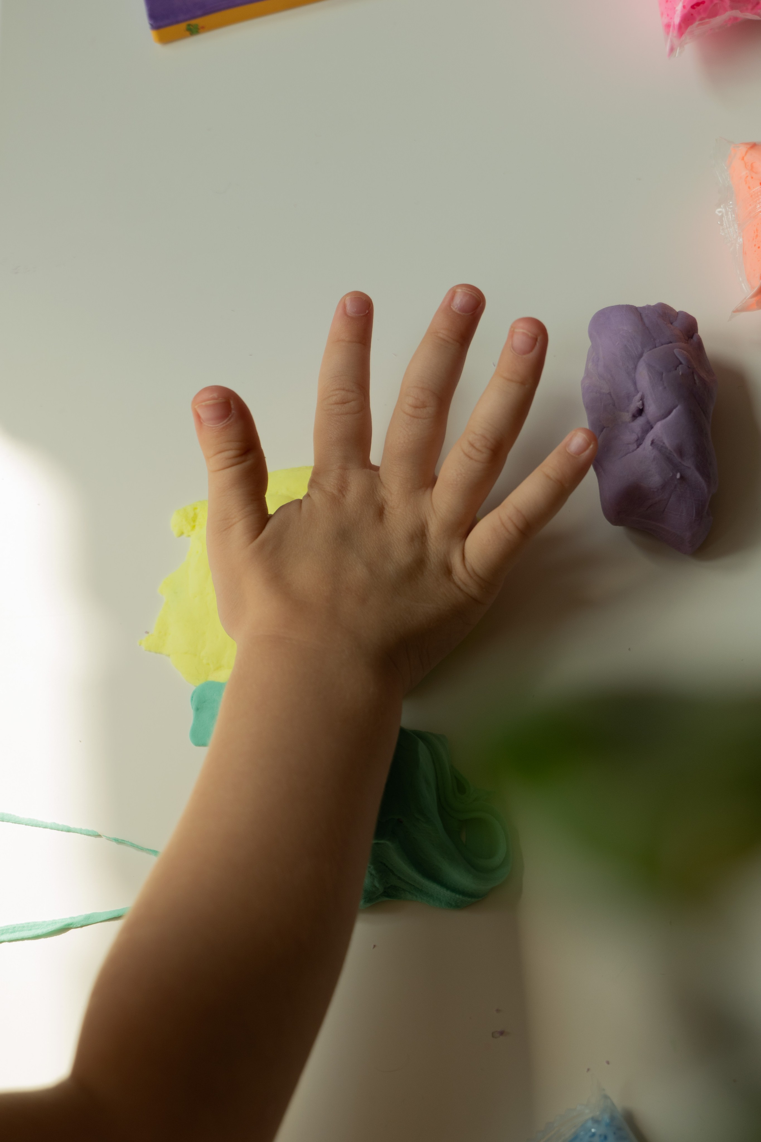 Будни в ожидании. Фотограф видеограф Ольга Василевская