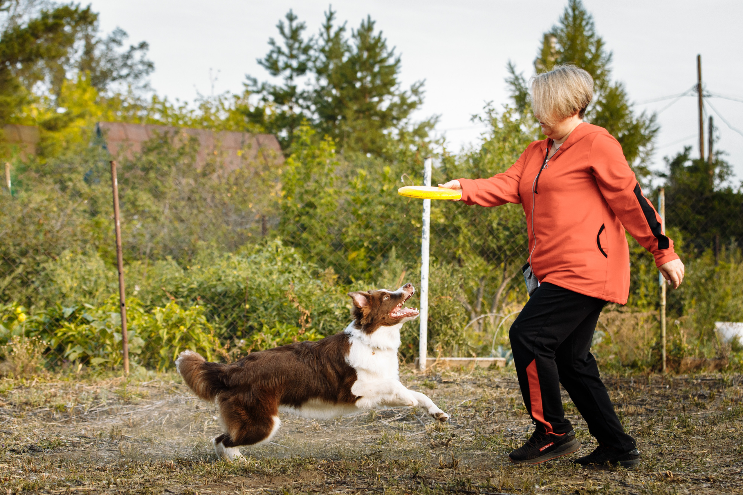 Овечий день. О нас
