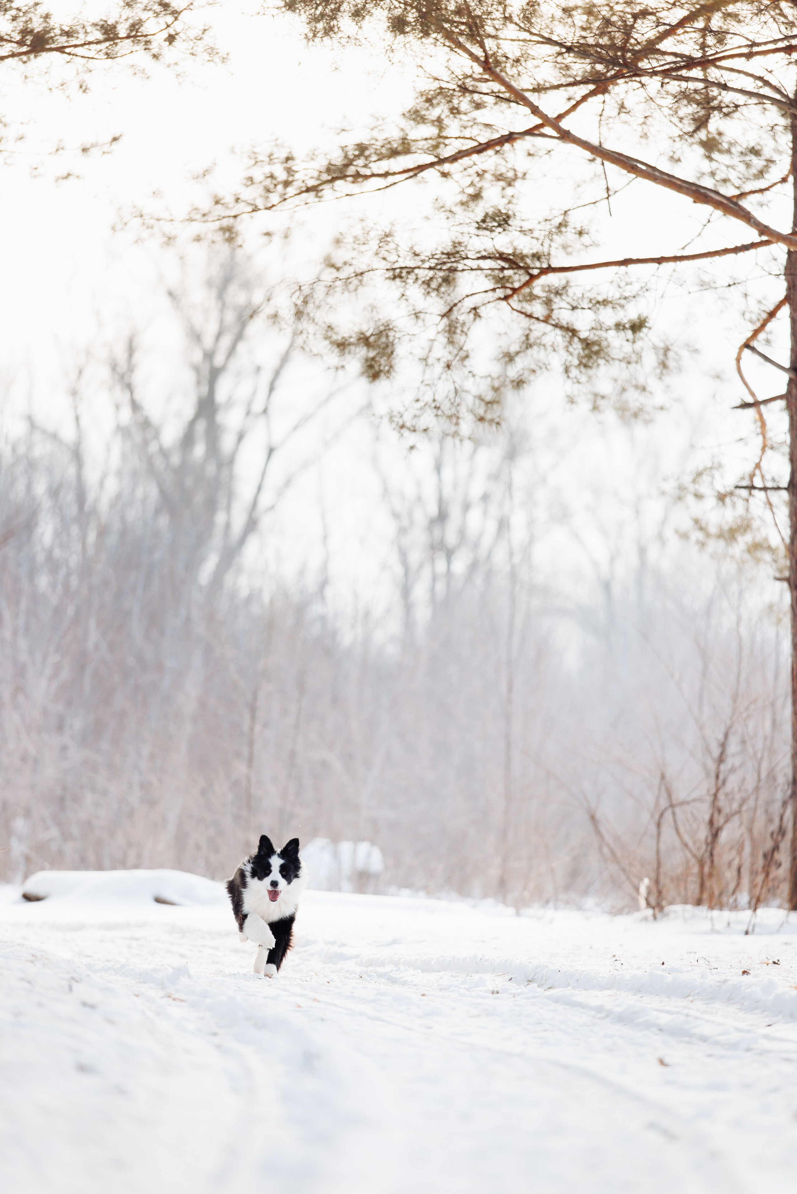 Яркий январь. О нас