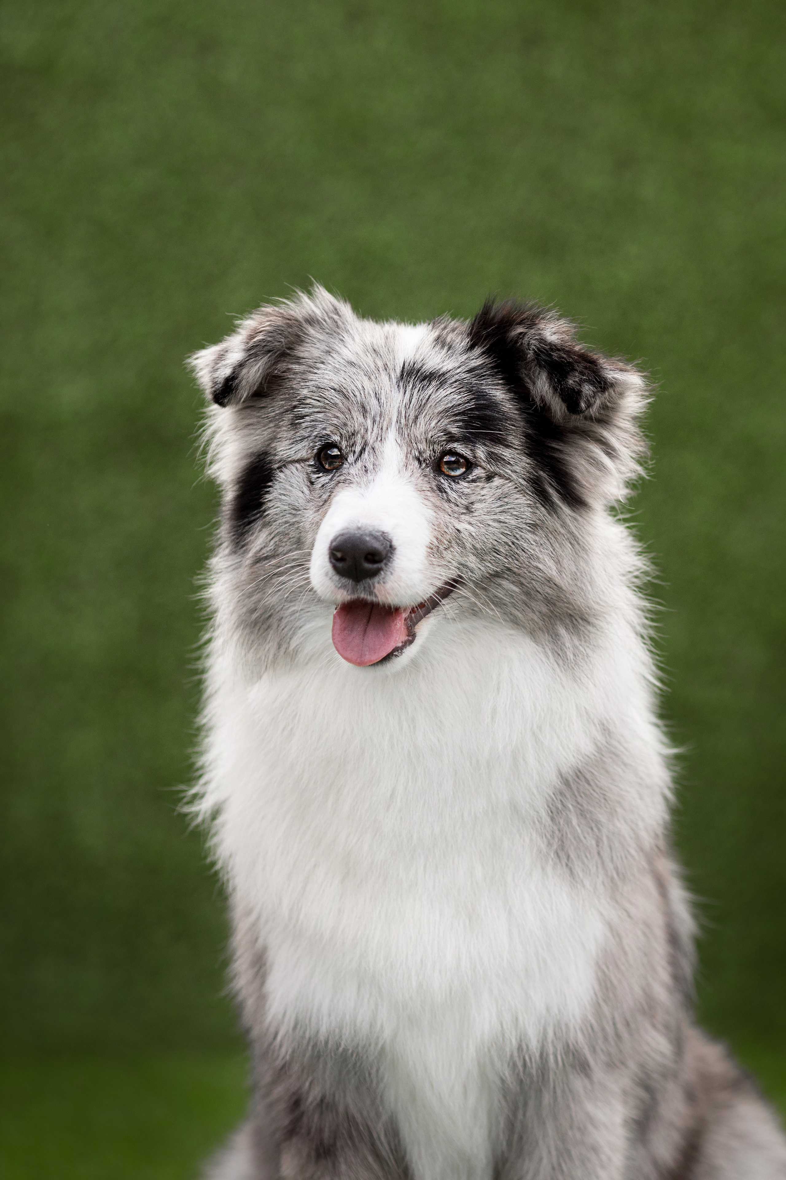 Роскошь в ростошах. О нас