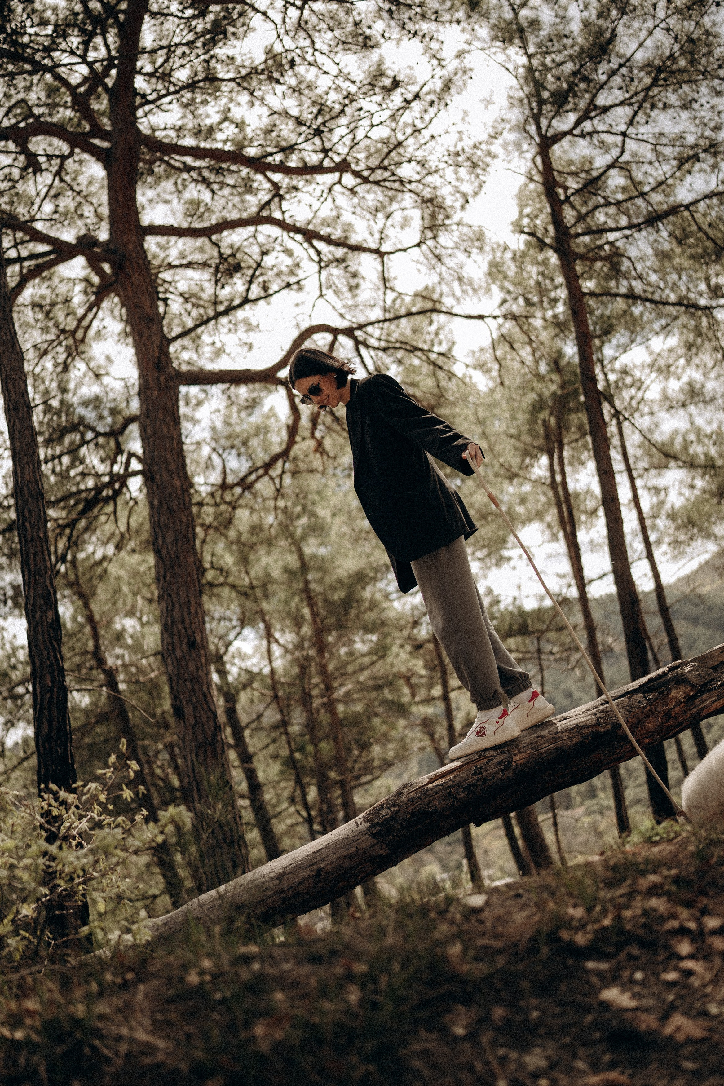Лера, Тёма, Марли & Mini cooper. Дмитриева Светлана женский и семейный фотограф Рига, Москва, Геленджик