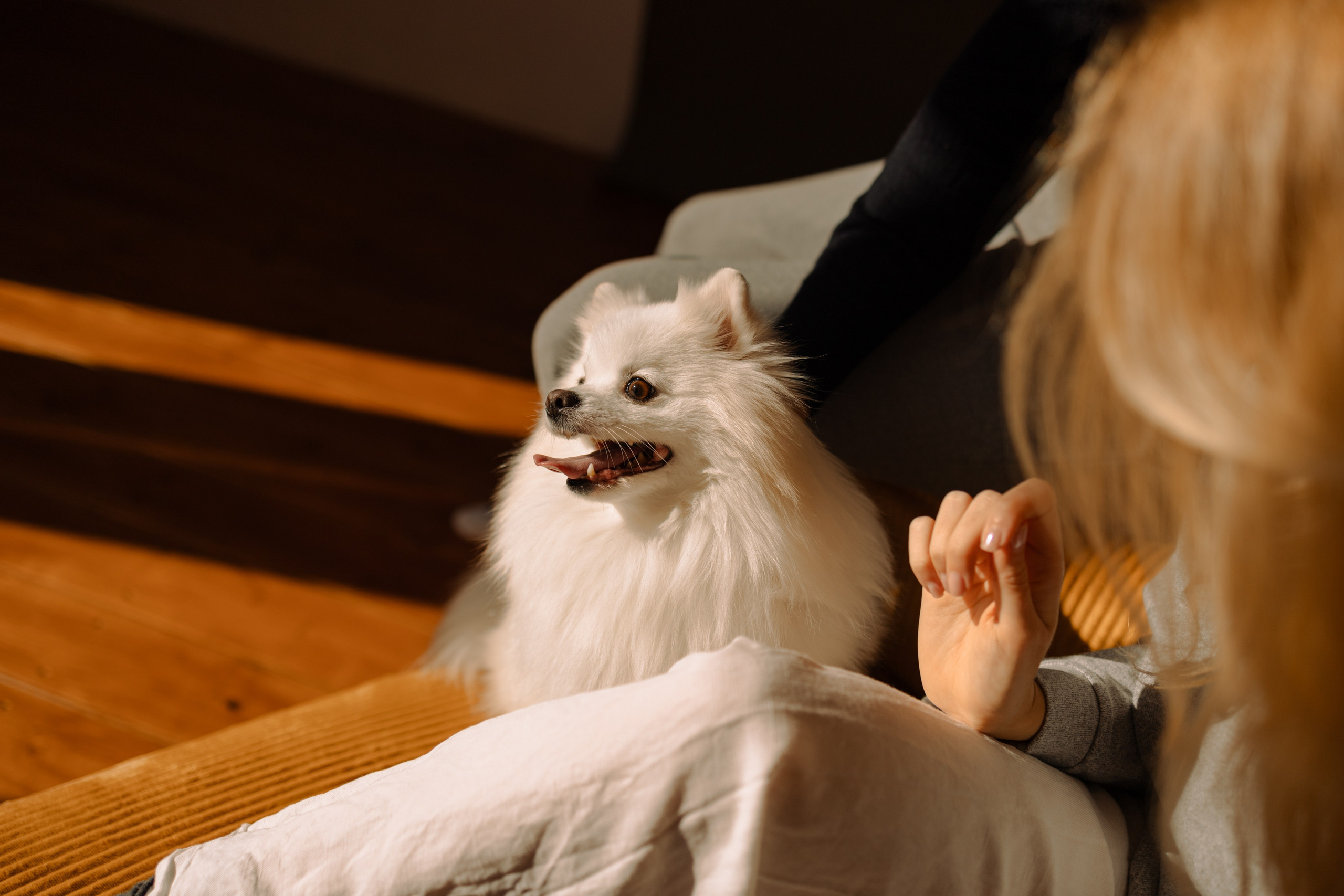 Джесси и ее семья. Фотограф — Анималист | Санкт-Петербург