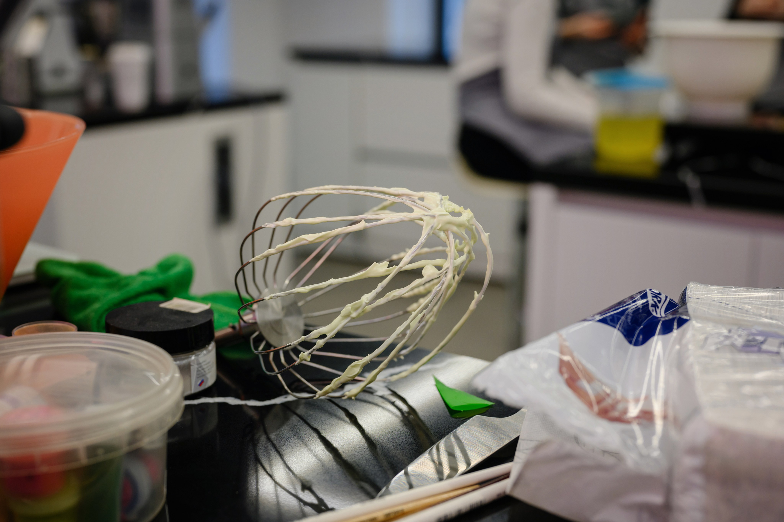 Kenwood. Семейный фотограф и анималист в Москве и Московской области