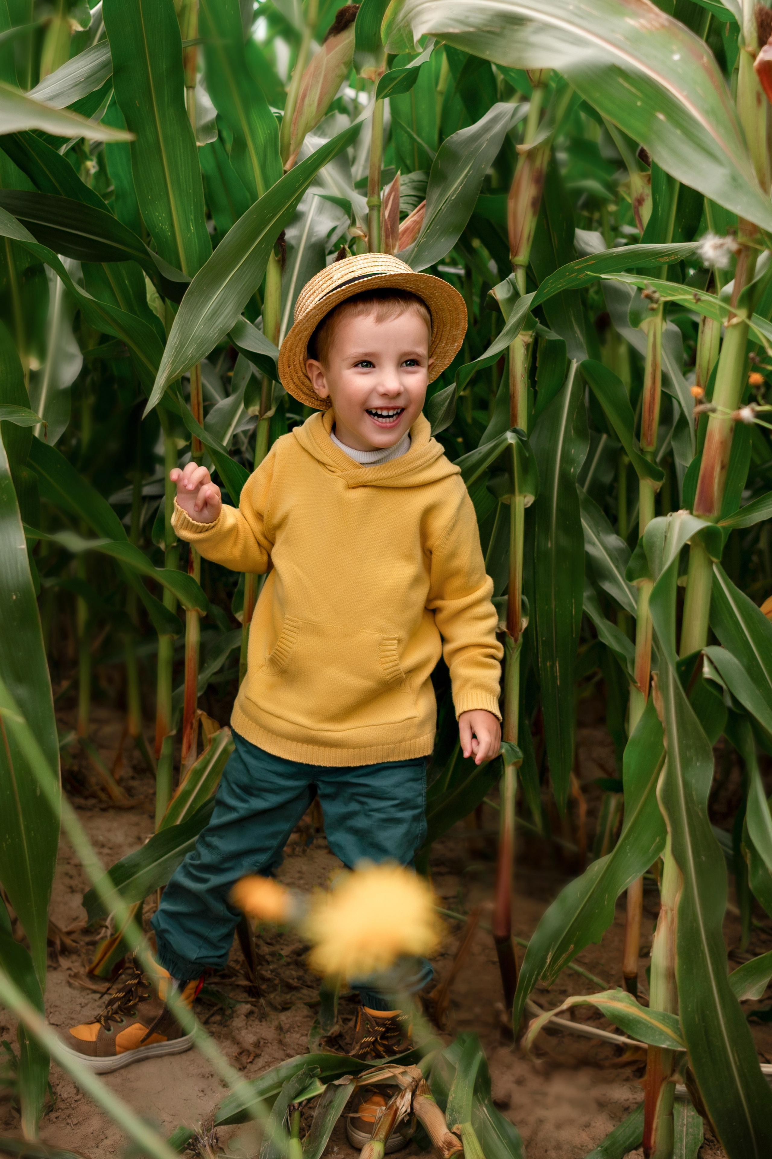детская фотосессия в кукурузе