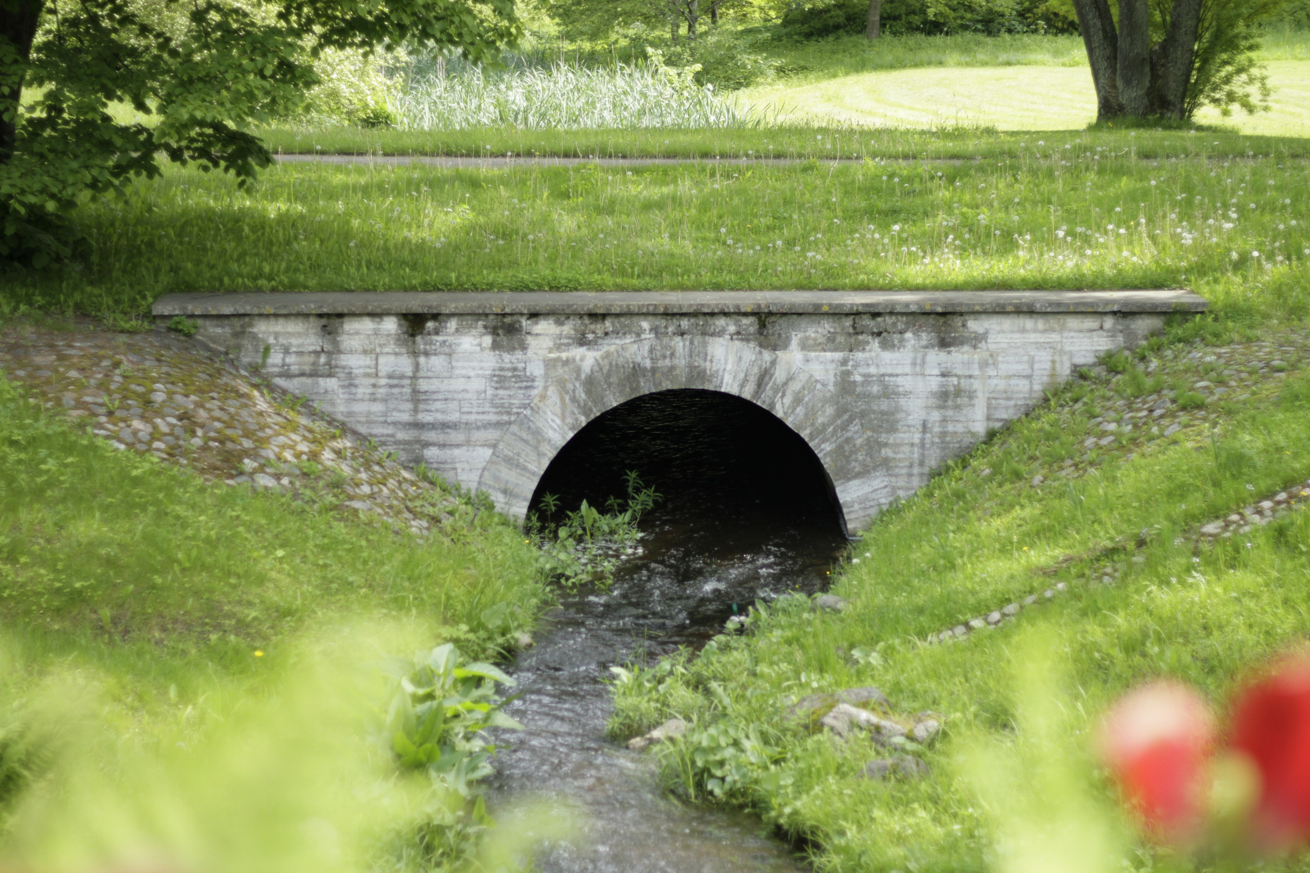 Летняя фотопрогулка в старом парке. Espero Photographer — Фотограф в Санкт-Петербурге
