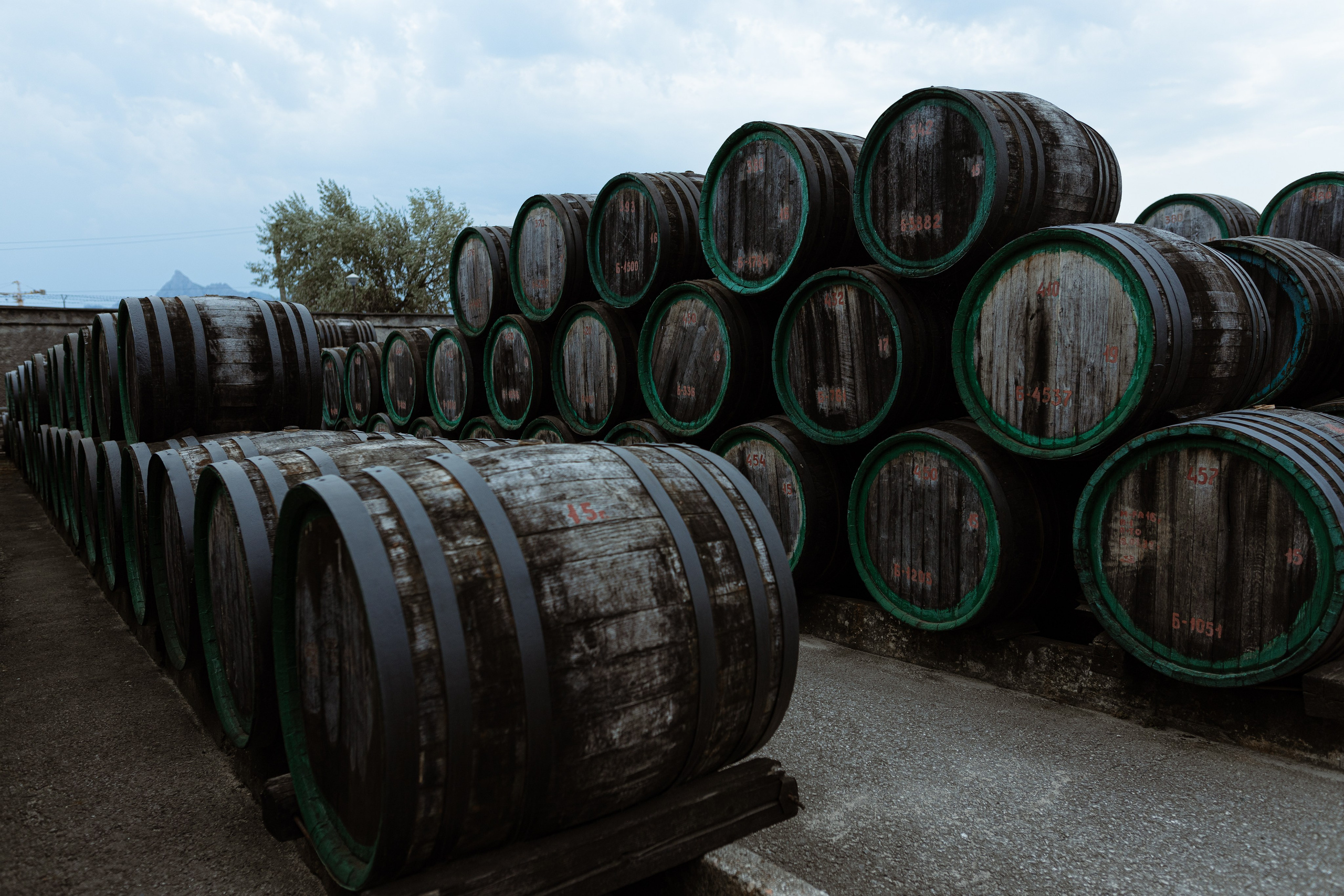 Виноградный завод. Евгения Волошина Фотограф Москва / Белгород