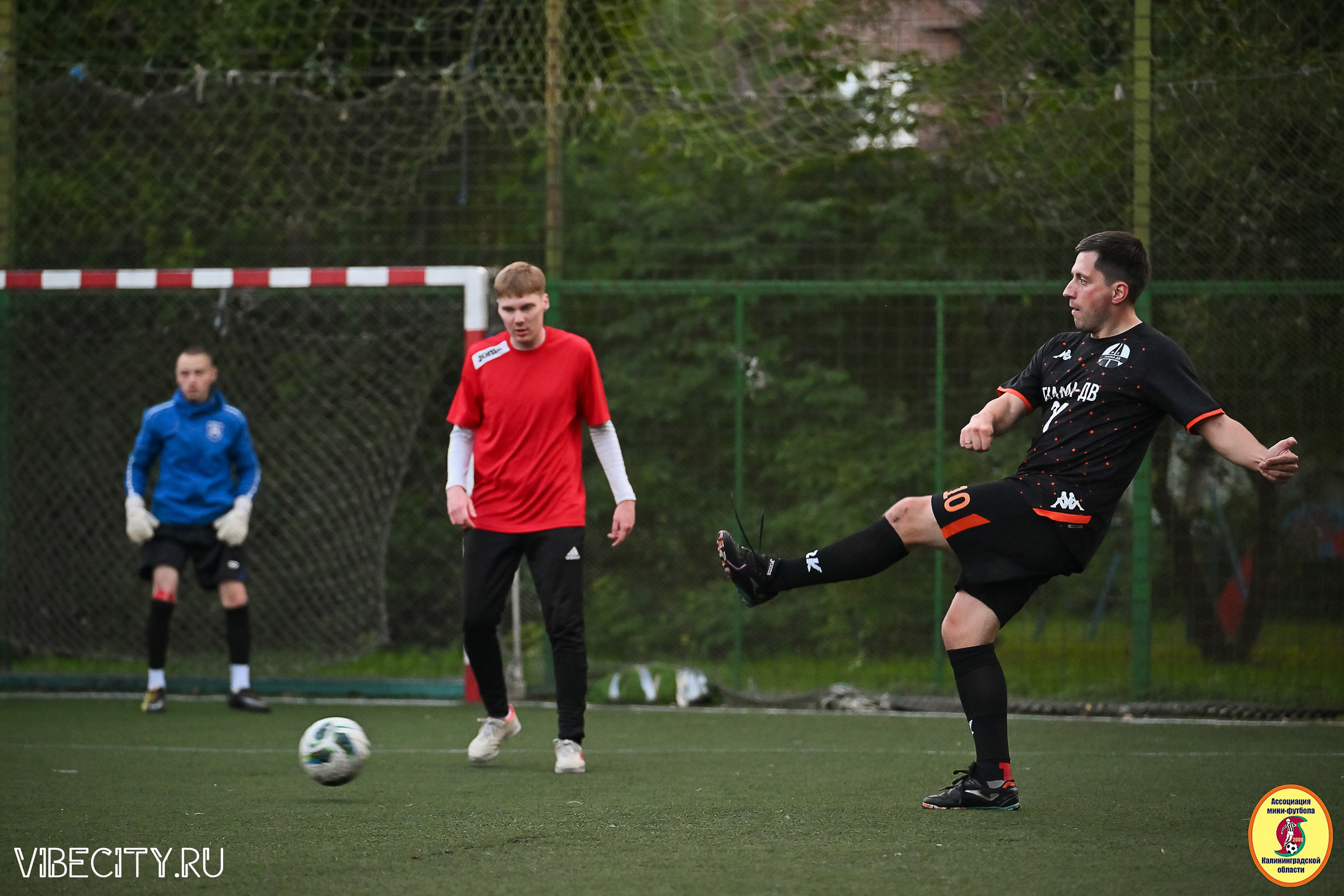 ИГРЫ ПЛЕЙ-ОФФ ПЕРВОГО ДИВИЗИОНА МИНИ-ФУТБОЛЬНОЙ ЛИГИ. VIBECITY.RU Вайб Сити Ру Фоторепортажи Фотоотчеты Калининград