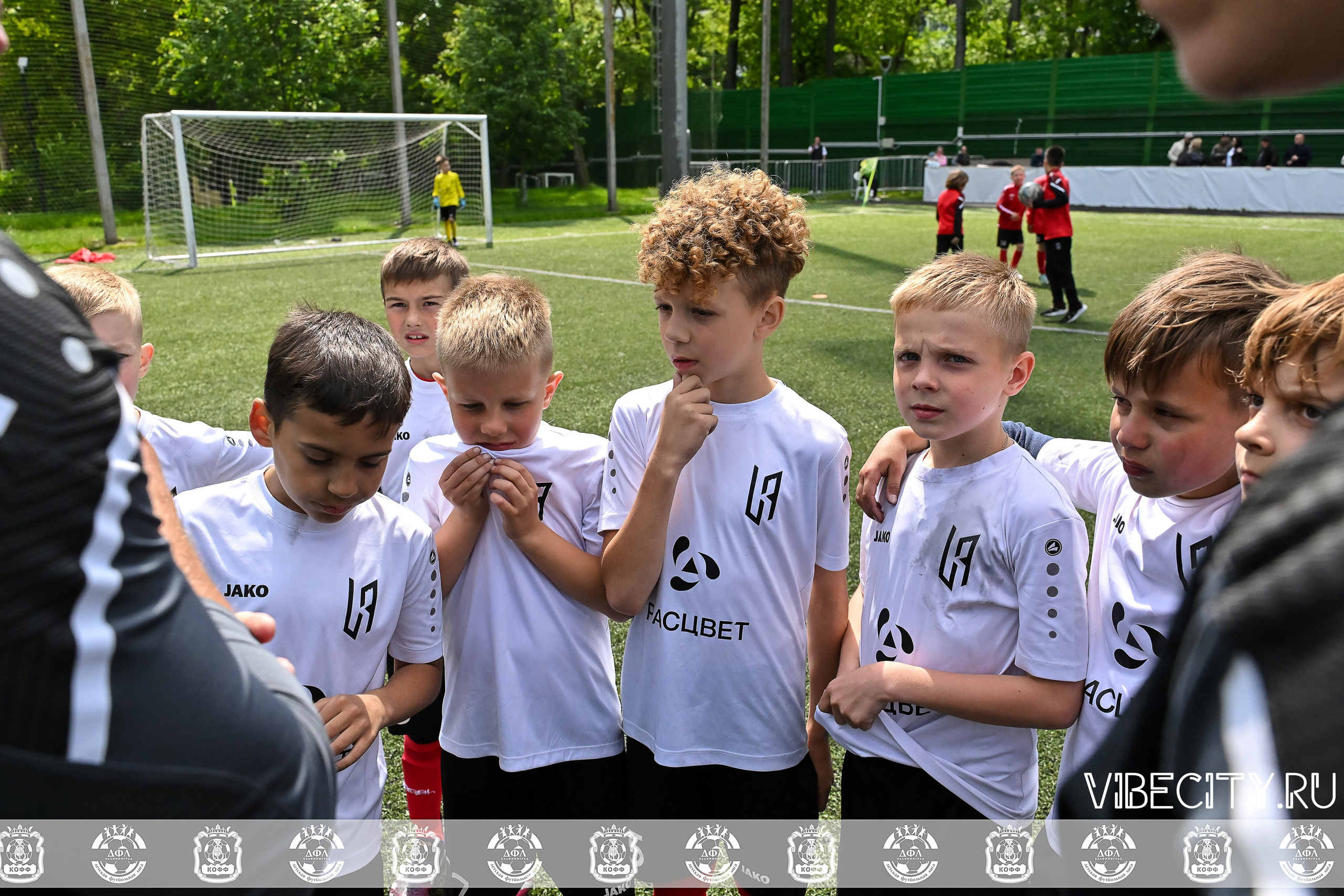 Большие Звезды светят Малым. VIBECITY.RU Вайб Сити Ру Фоторепортажи Фотоотчеты Калининград