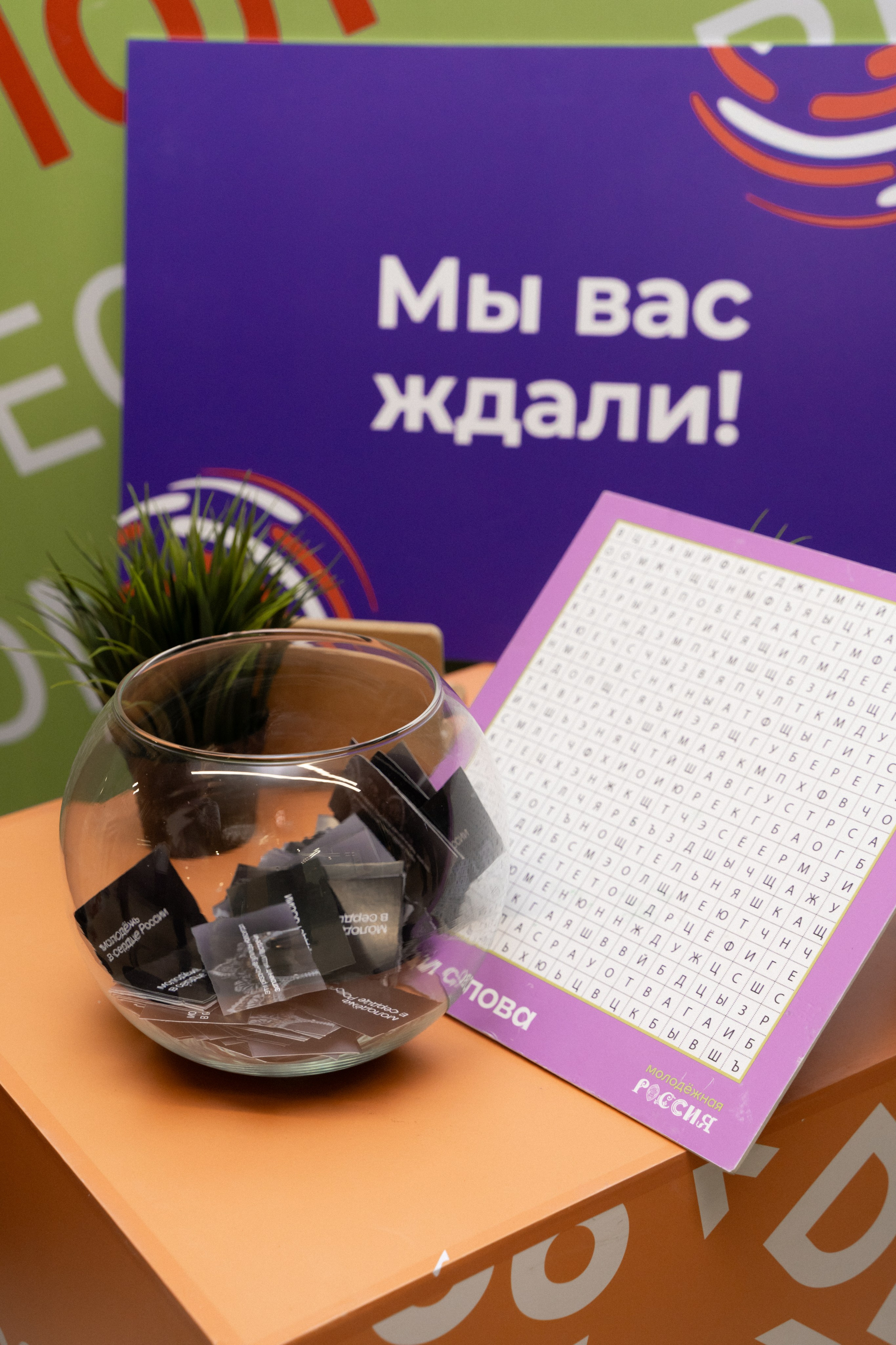 Окружной семинар в сфере профилактики от Росмолодежи в Амаксе 2024. Фотограф Надежда Погребняк | Рязань | Москва