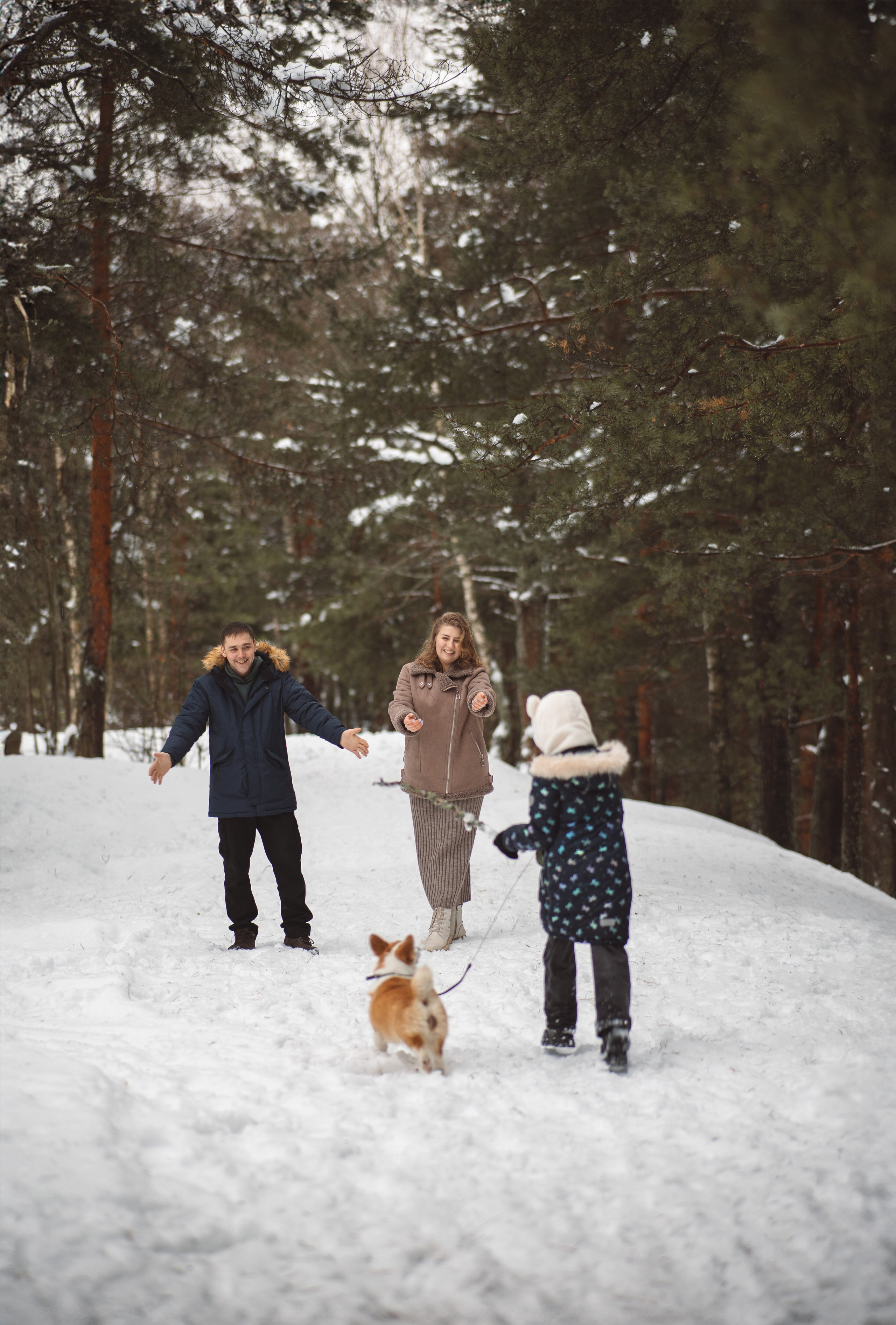 Атмосфера декабря. Дарья Скворцова