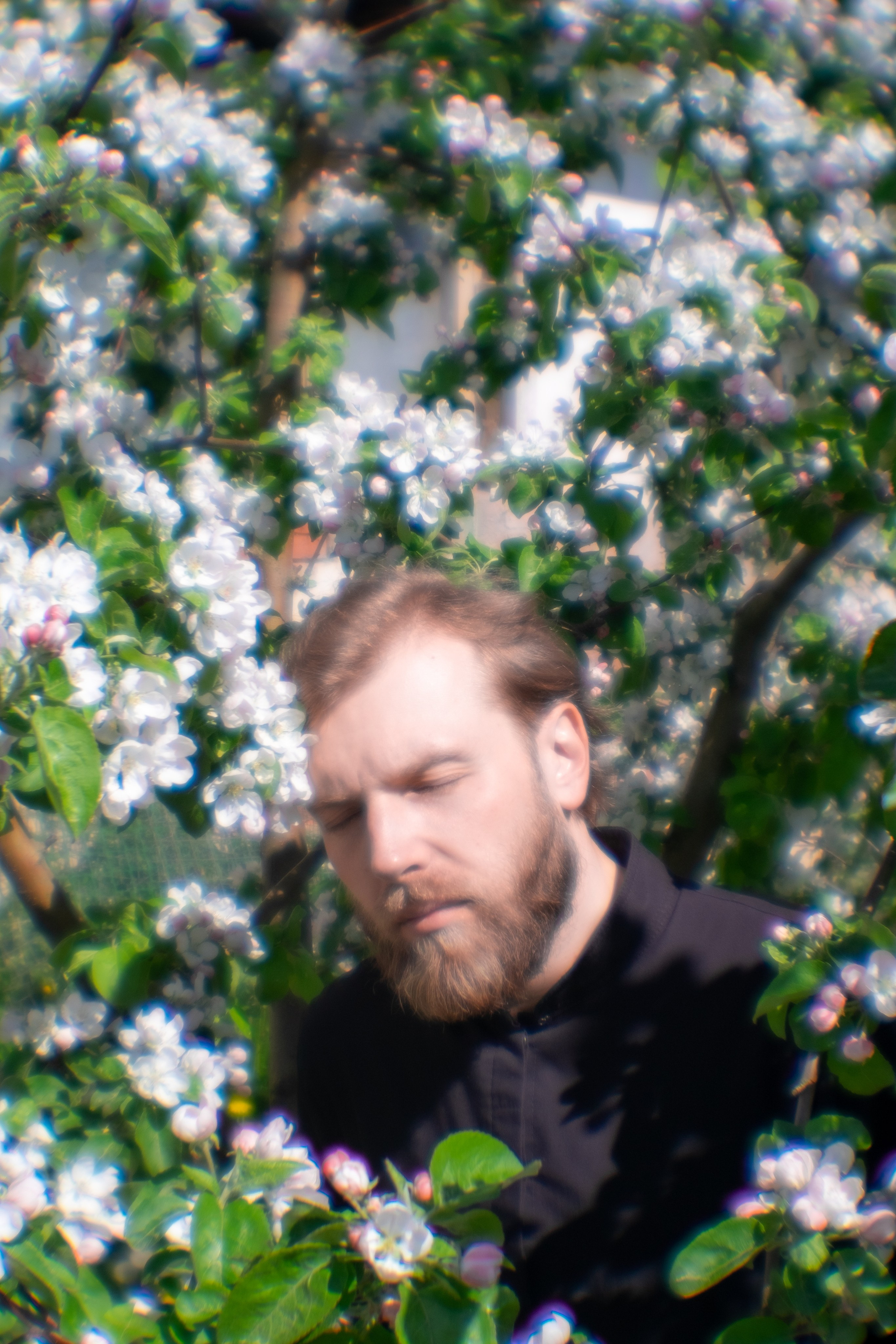 Братия. Трандин Иван Фотограф СПб