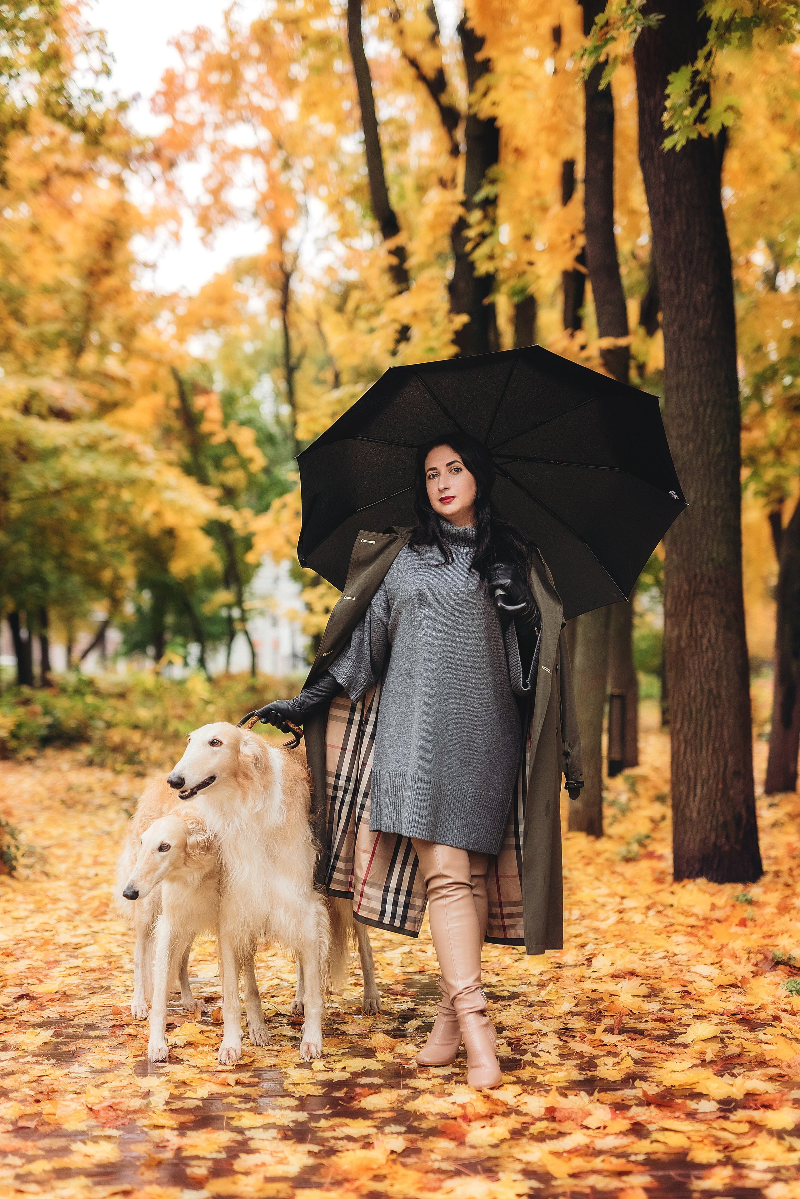 Фотосессия с борзыми. Семейный, детский фотограф в Воронеже Анна Никитина