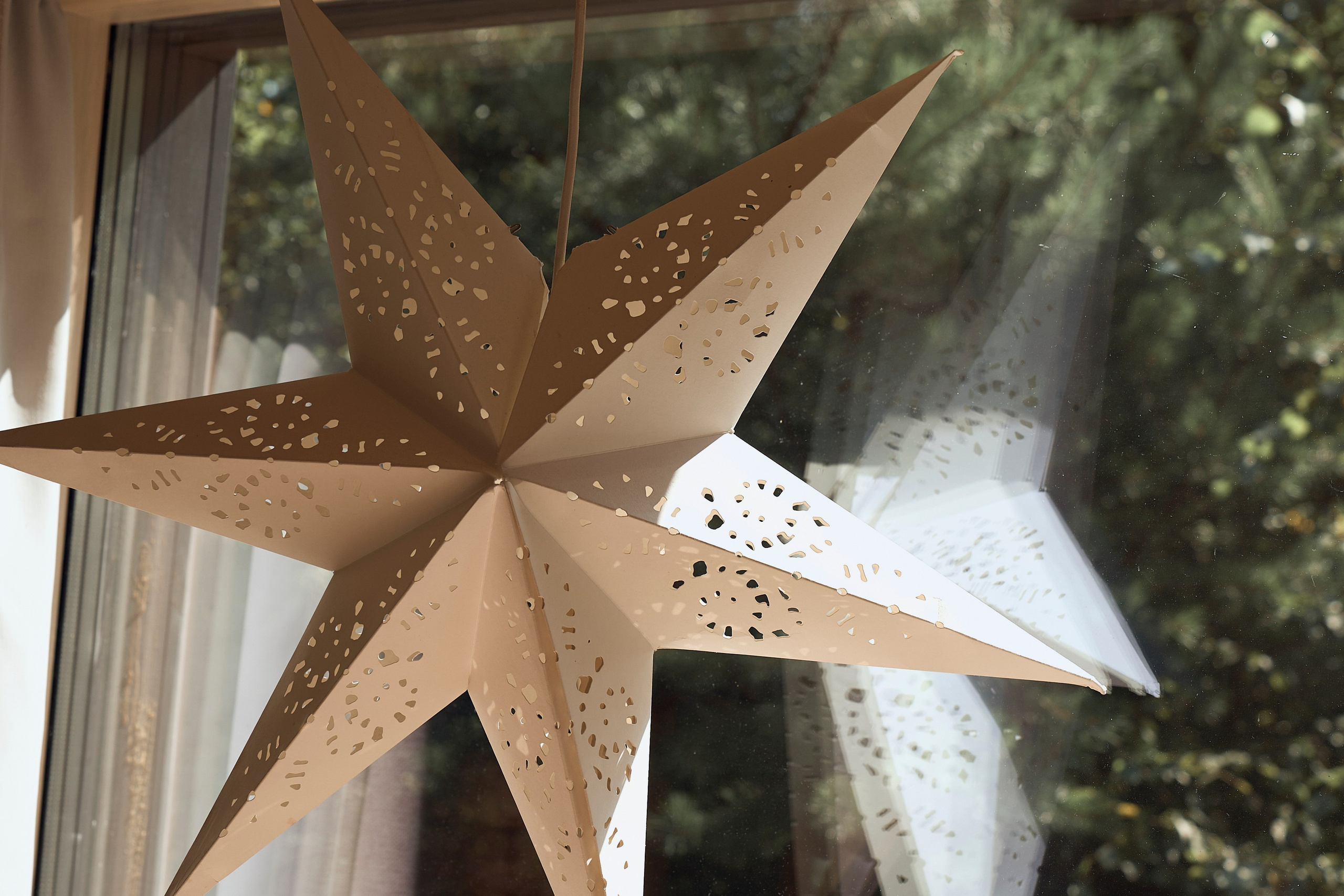 Три сердца. Ваш фотограф Анастасия Болотникова