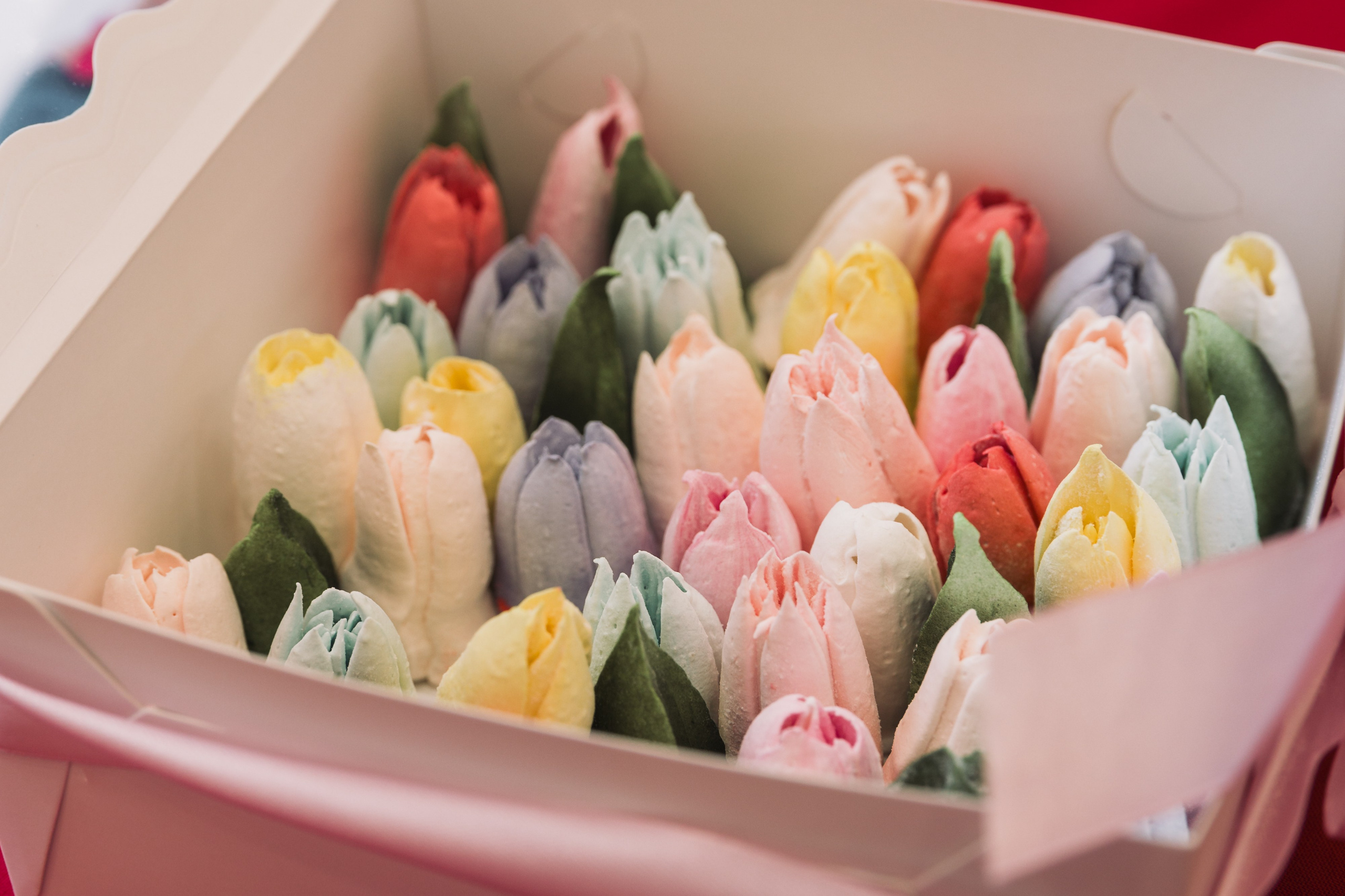 Конференция «Женское здоровье» Нововоронеж. Фотограф Воронеж, Новая Усмань Мария Бублик