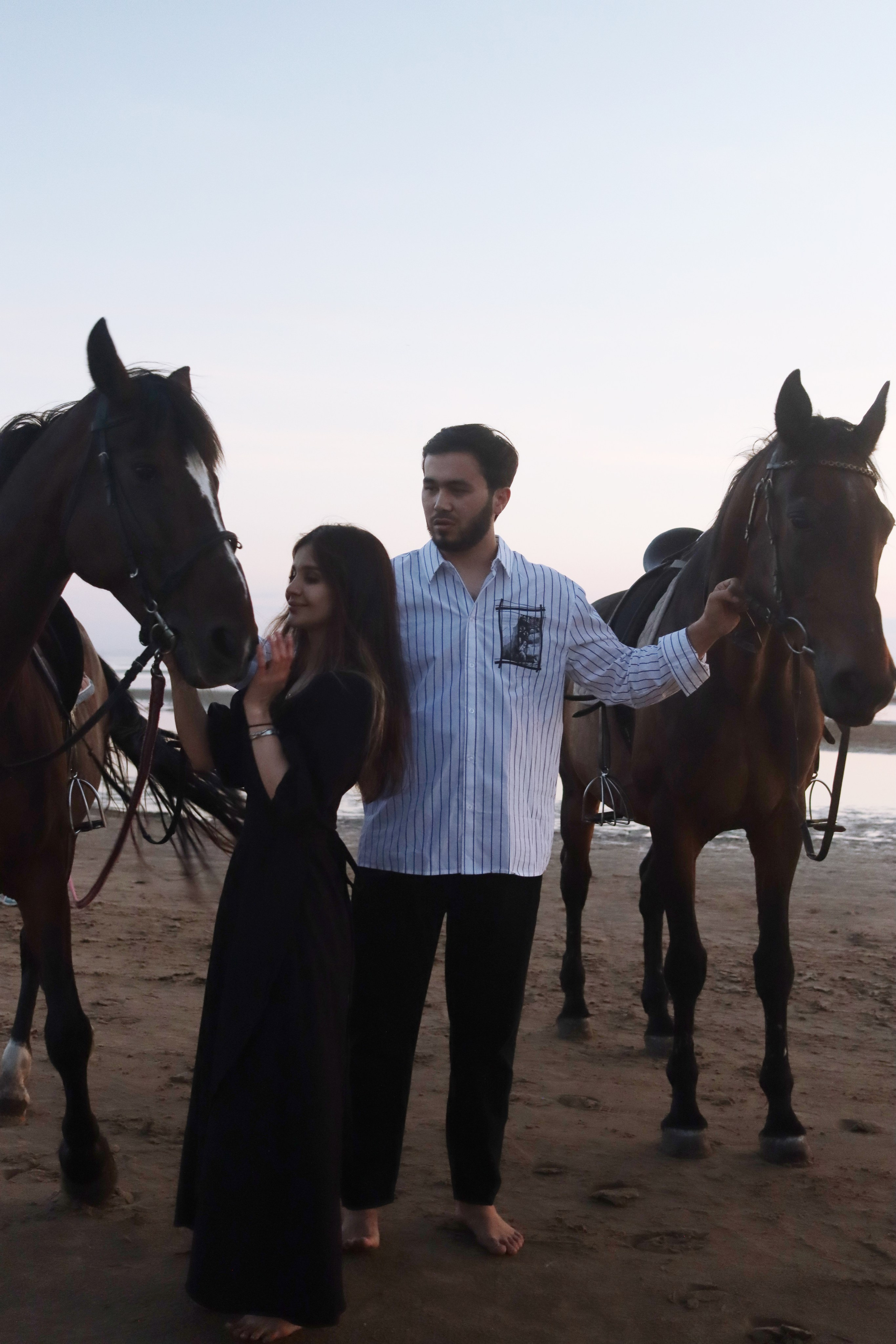 Love story с лошадьми