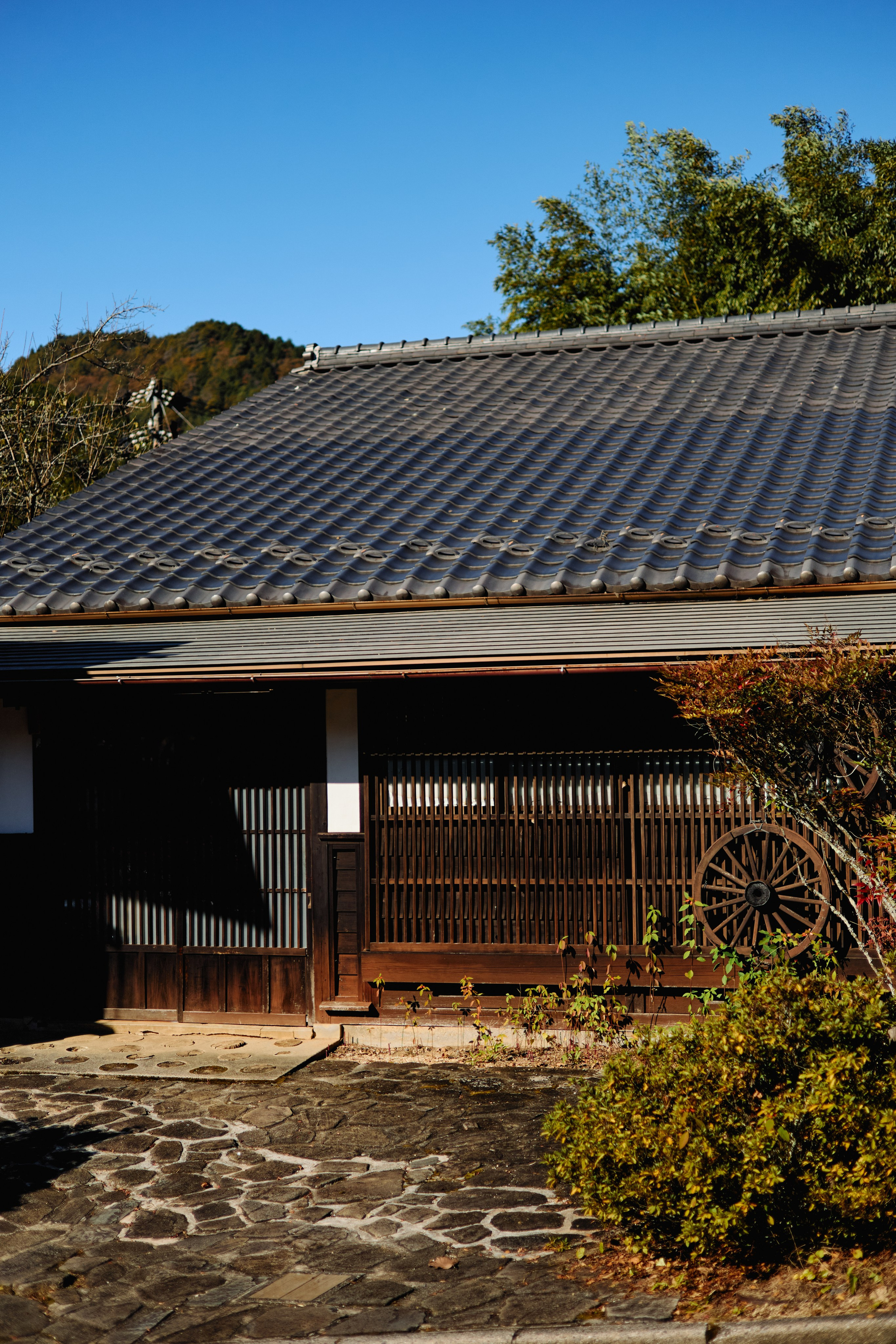 Япония. Профессиональный Фотограф во Владимире, в Москве и в Суздале — Полина Романычева