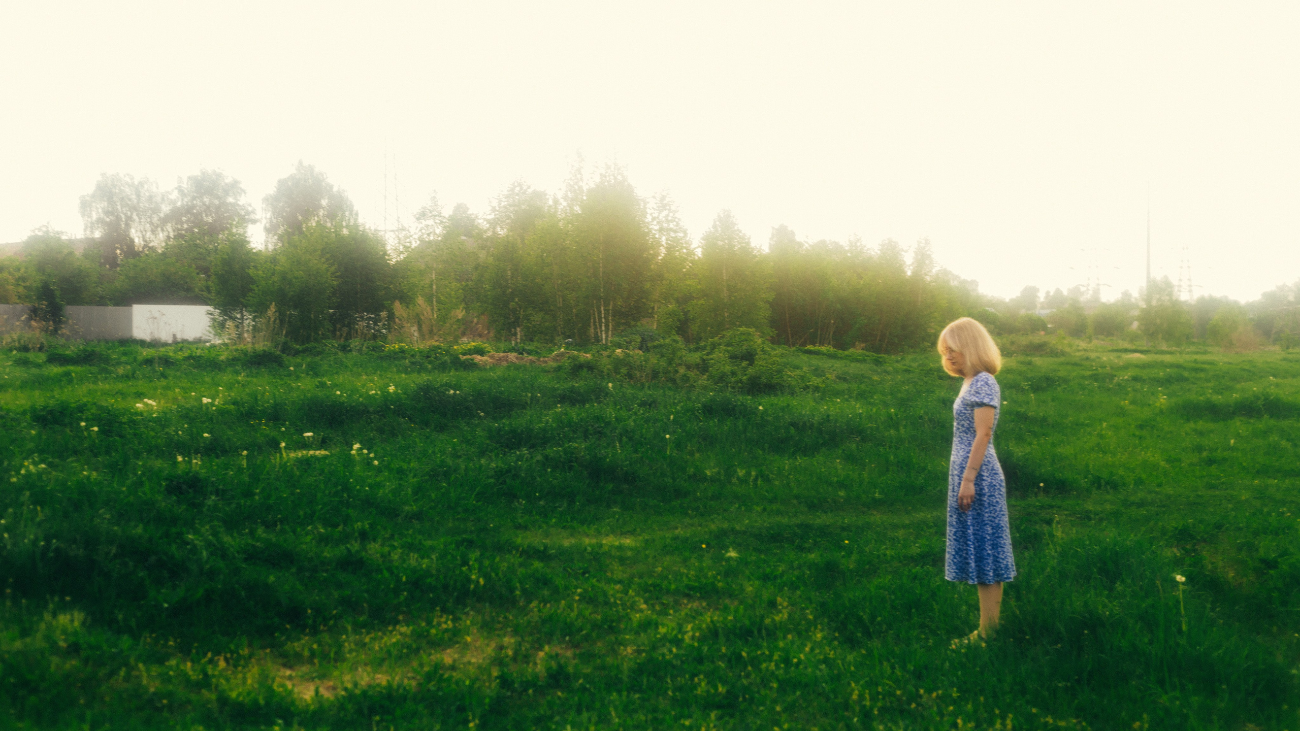 Anastes. Sun Betty — кинофотограф Элизабет
