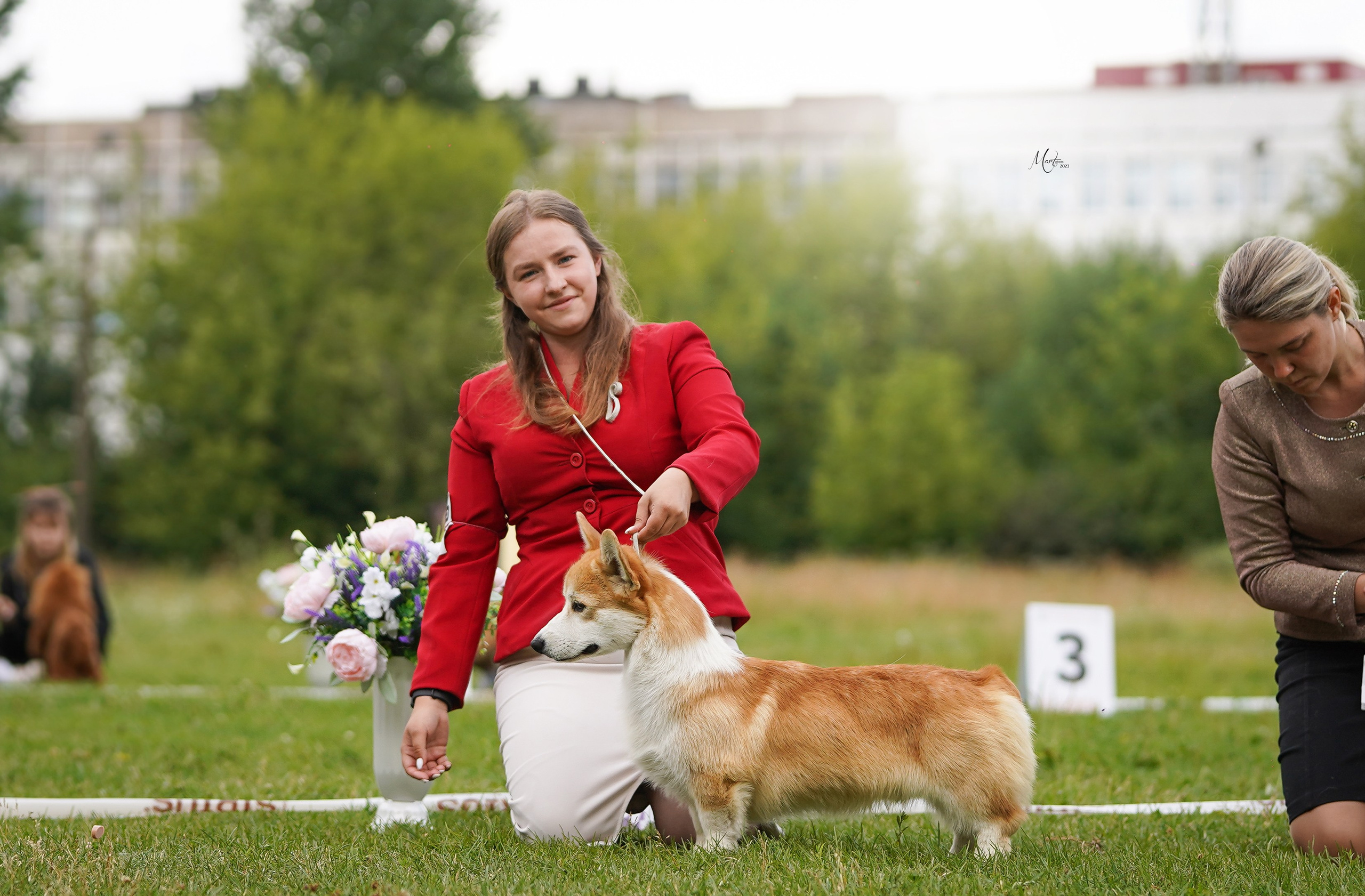 Выставки 2023. Фотограф-анималист в Санкт-Петербурге Яна Мартынова